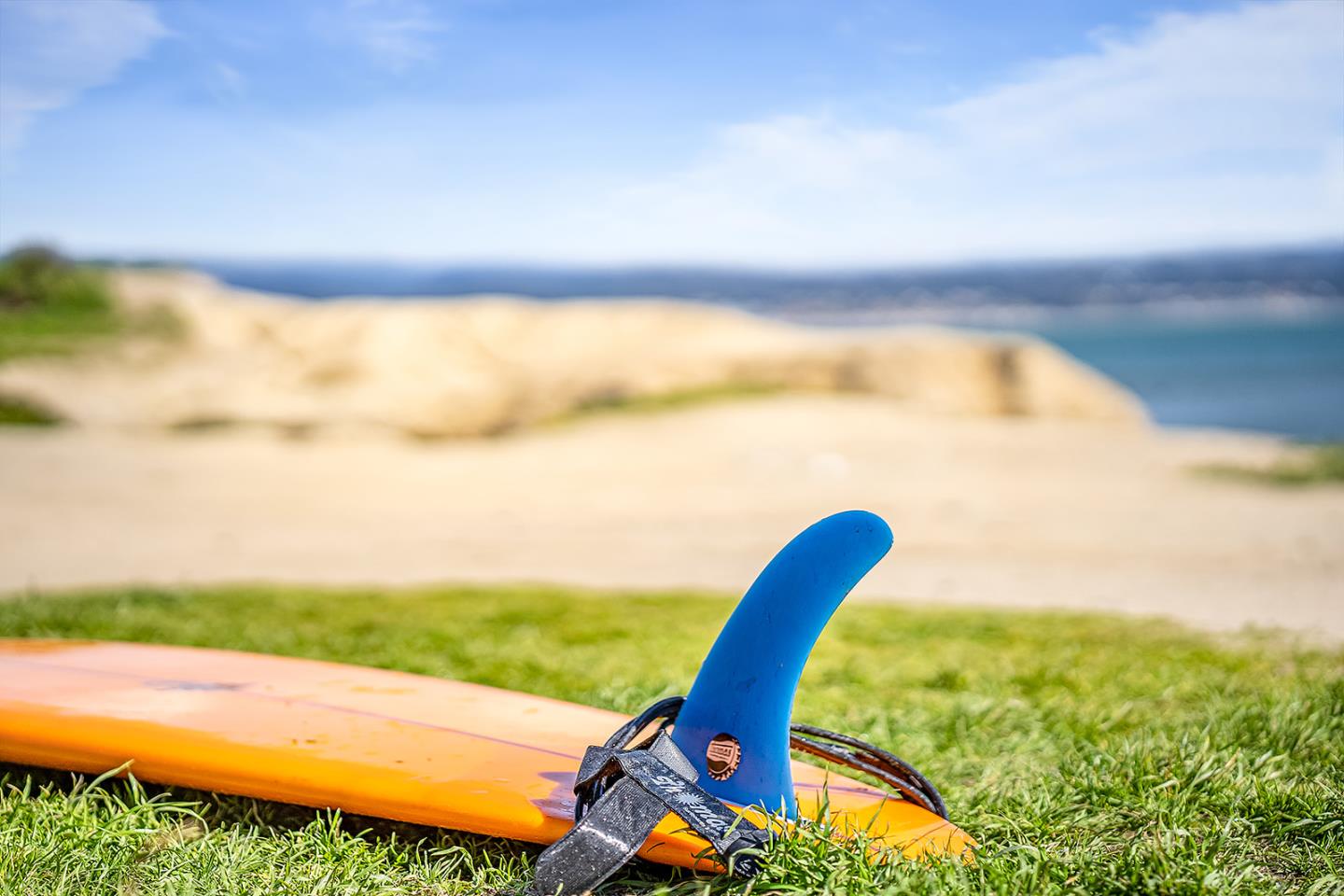 Detail Gallery Image 52 of 57 For 509 36th Ave, Santa Cruz,  CA 95062 - 3 Beds | 2 Baths