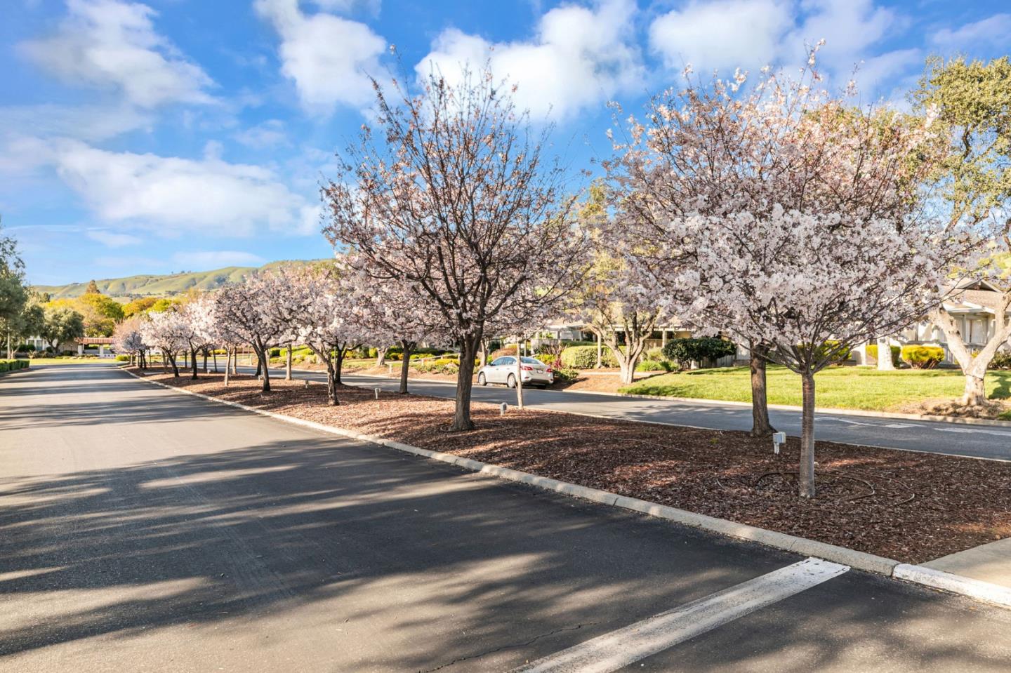 Detail Gallery Image 47 of 50 For 5076 Cribari Bluffs, San Jose,  CA 95135 - 2 Beds | 2 Baths