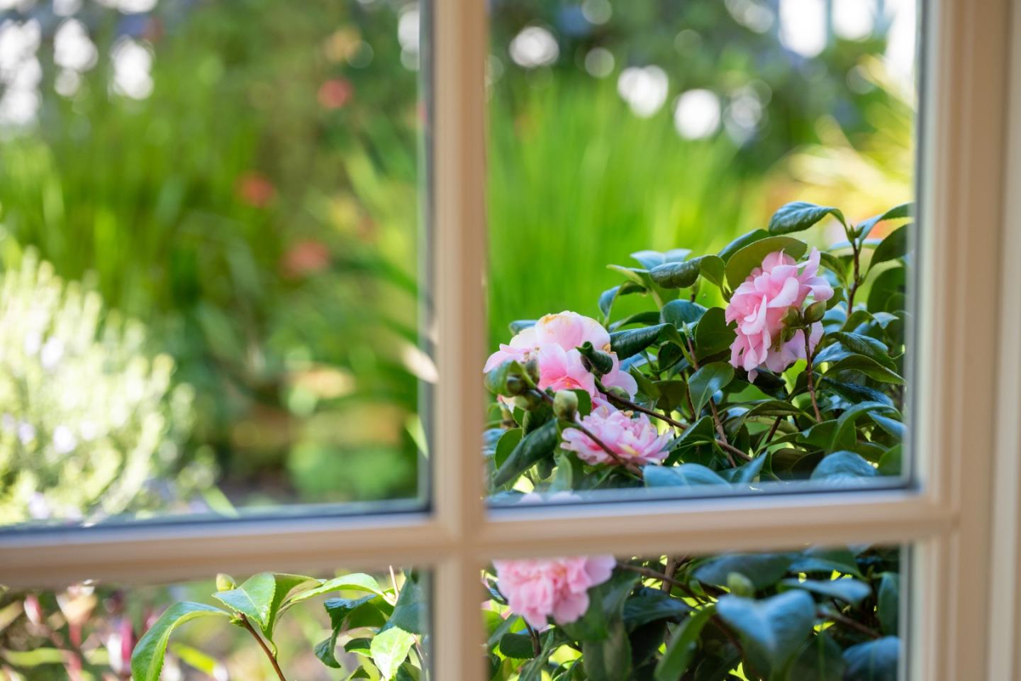 Detail Gallery Image 17 of 53 For 0 4th Avenue 2 Sw of Randall Way, Carmel,  CA 93921 - 3 Beds | 2 Baths
