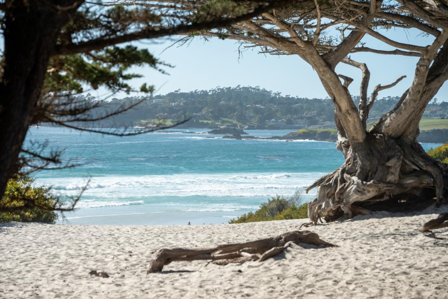 Detail Gallery Image 50 of 53 For 0 4th Avenue 2 Sw of Randall Way, Carmel,  CA 93921 - 3 Beds | 2 Baths
