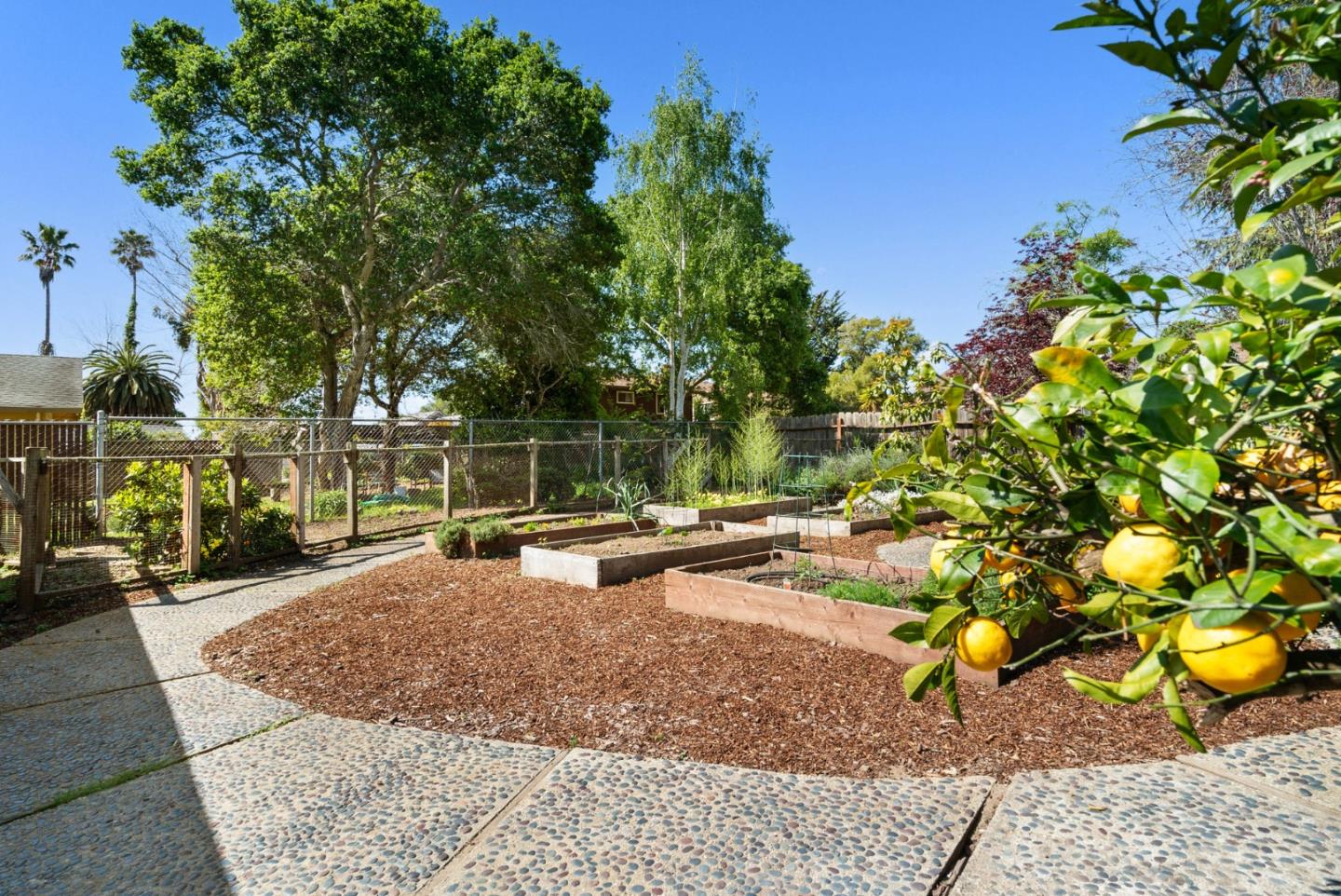 Detail Gallery Image 45 of 56 For 2975 Mattison Ln, Santa Cruz,  CA 95065 - 3 Beds | 2 Baths