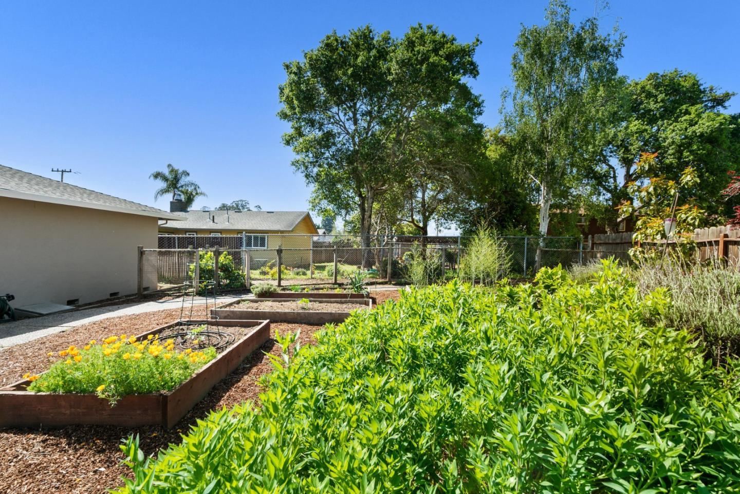 Detail Gallery Image 51 of 56 For 2975 Mattison Ln, Santa Cruz,  CA 95065 - 3 Beds | 2 Baths