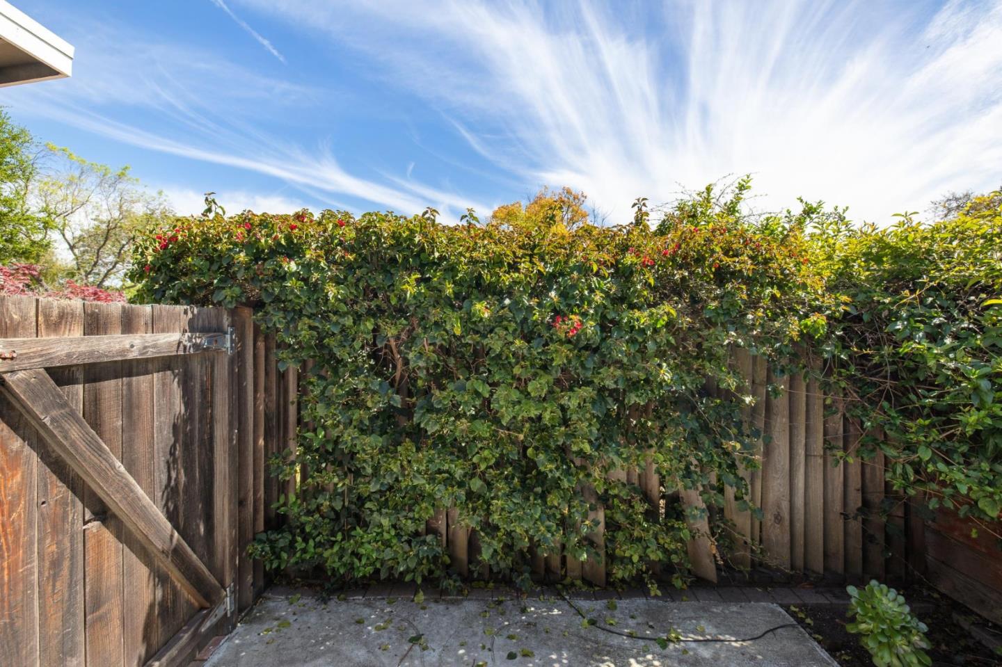 Detail Gallery Image 62 of 65 For 342 Carolina Ln, Palo Alto,  CA 94306 - 5 Beds | 2/1 Baths