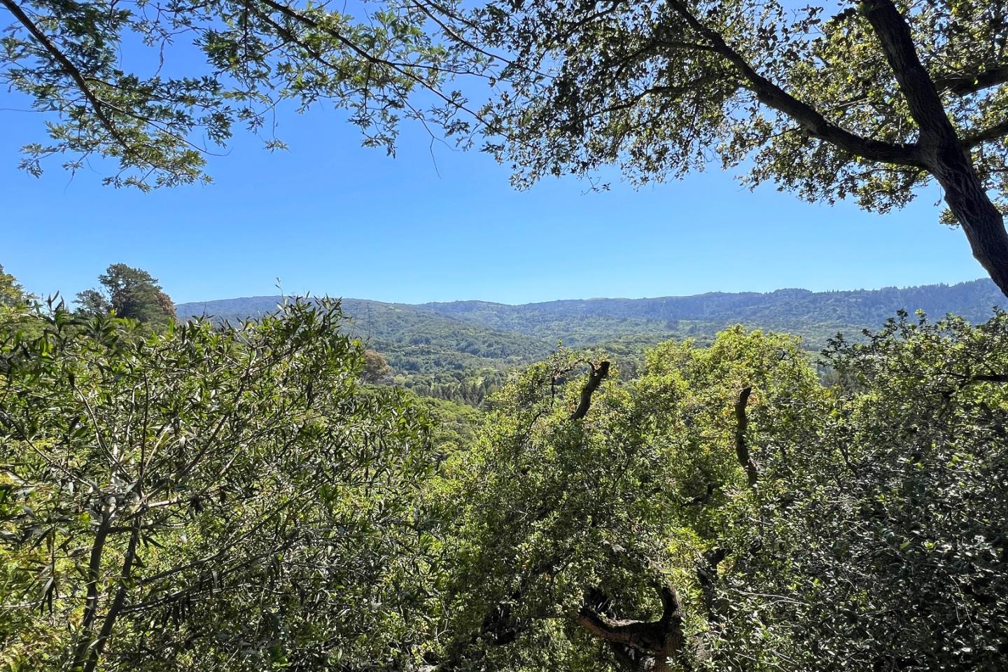 Detail Gallery Image 34 of 38 For 25 Toro Ct, Portola Valley,  CA 94028 - 3 Beds | 3 Baths