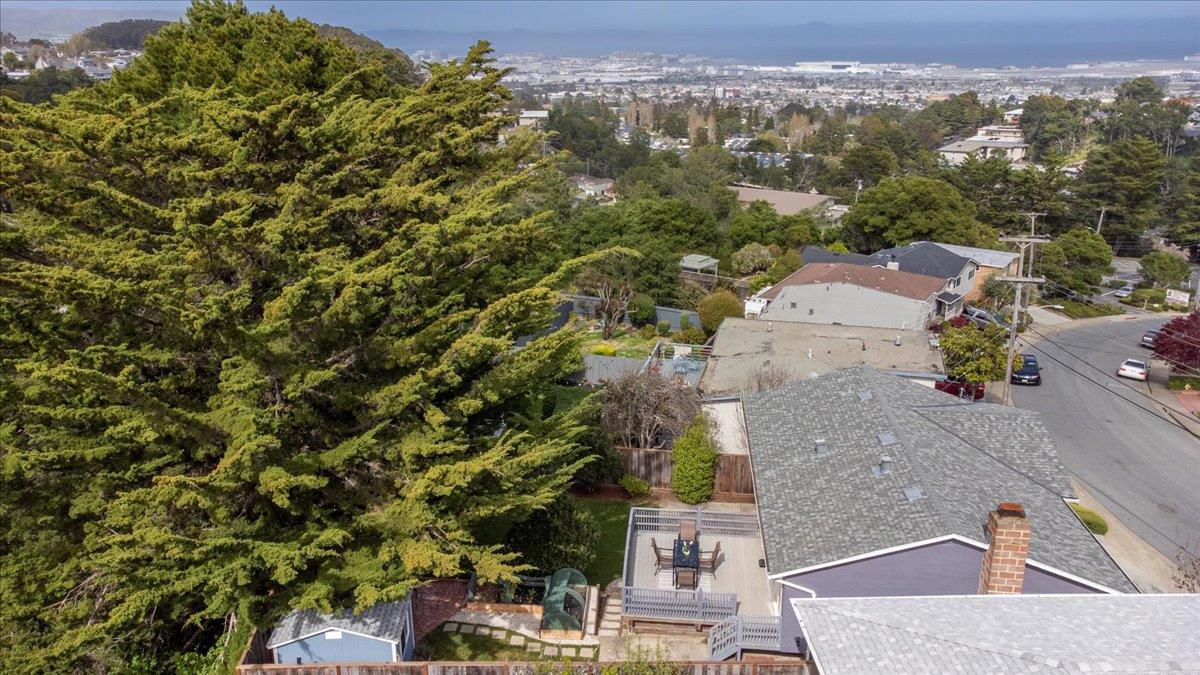 Detail Gallery Image 43 of 53 For 2490 Rosewood Dr, San Bruno,  CA 94066 - 3 Beds | 2 Baths