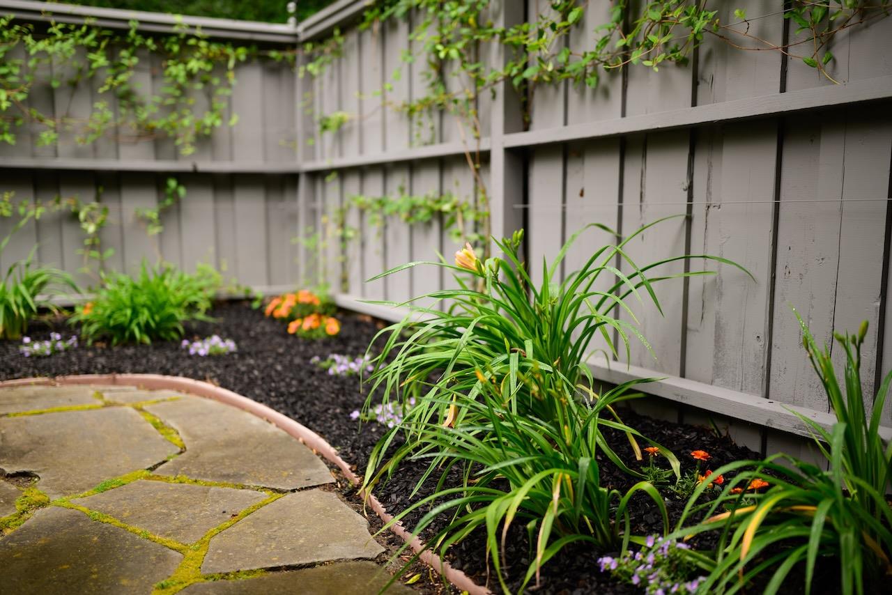 Detail Gallery Image 34 of 75 For 8 Flora Ln, Scotts Valley,  CA 95066 - 3 Beds | 2/1 Baths