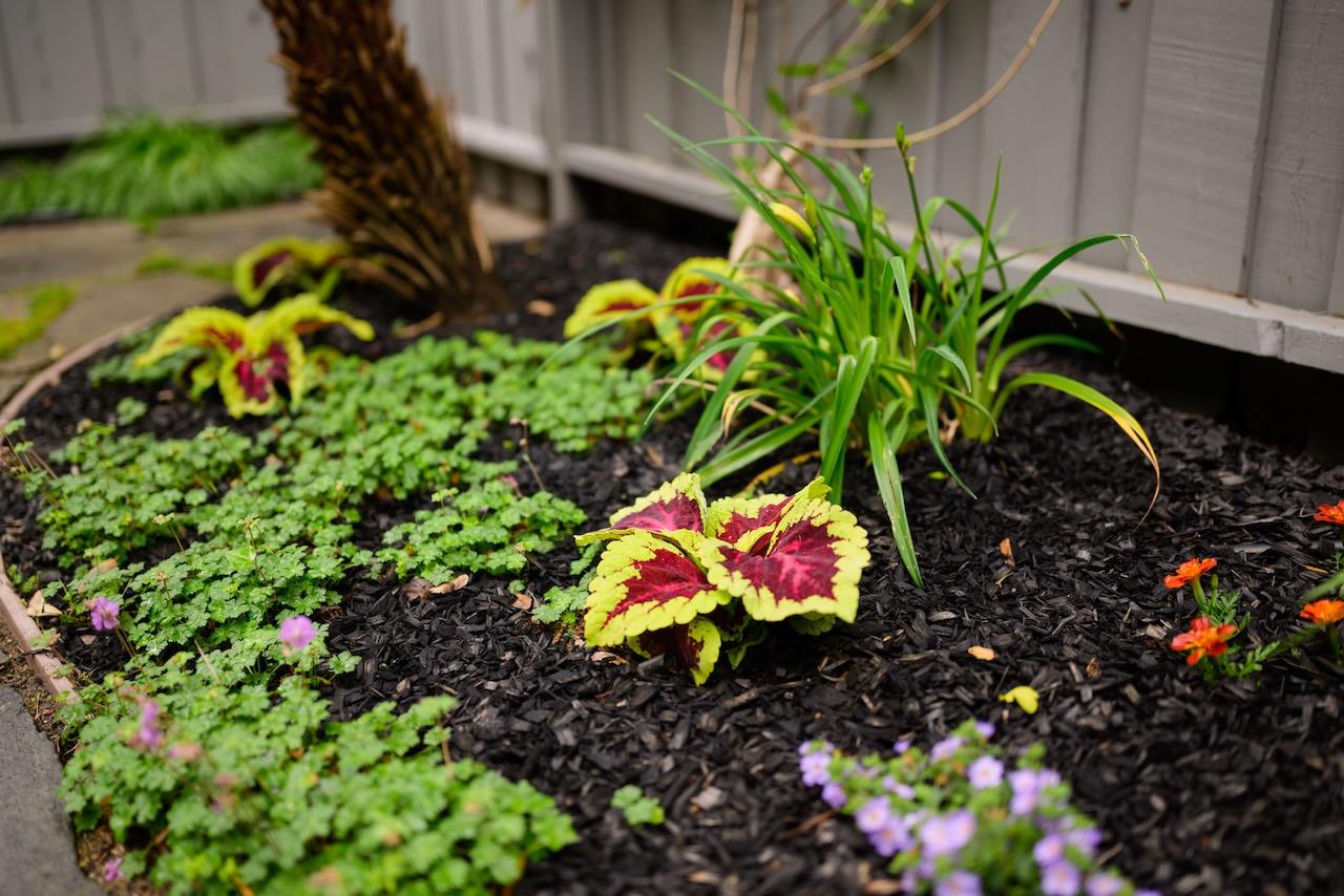 Detail Gallery Image 35 of 75 For 8 Flora Ln, Scotts Valley,  CA 95066 - 3 Beds | 2/1 Baths