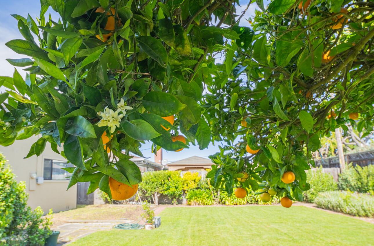Detail Gallery Image 35 of 39 For 16 Del Rey Cir, Salinas,  CA 93901 - 3 Beds | 2 Baths