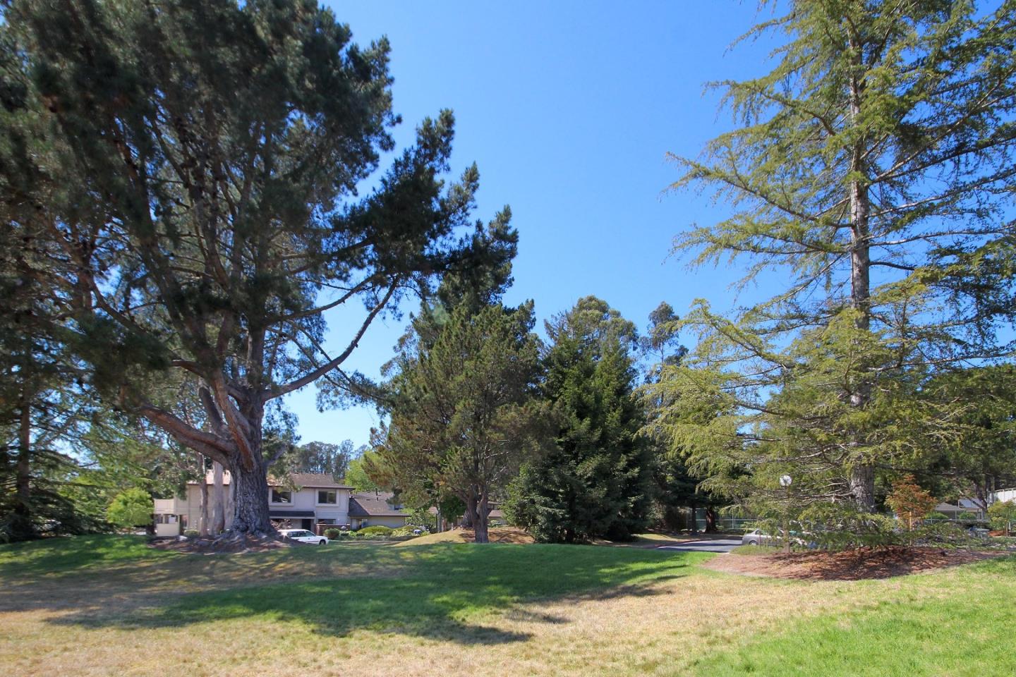 Detail Gallery Image 16 of 20 For 1147 Callas Ln #2,  Capitola,  CA 95010 - 2 Beds | 1 Baths