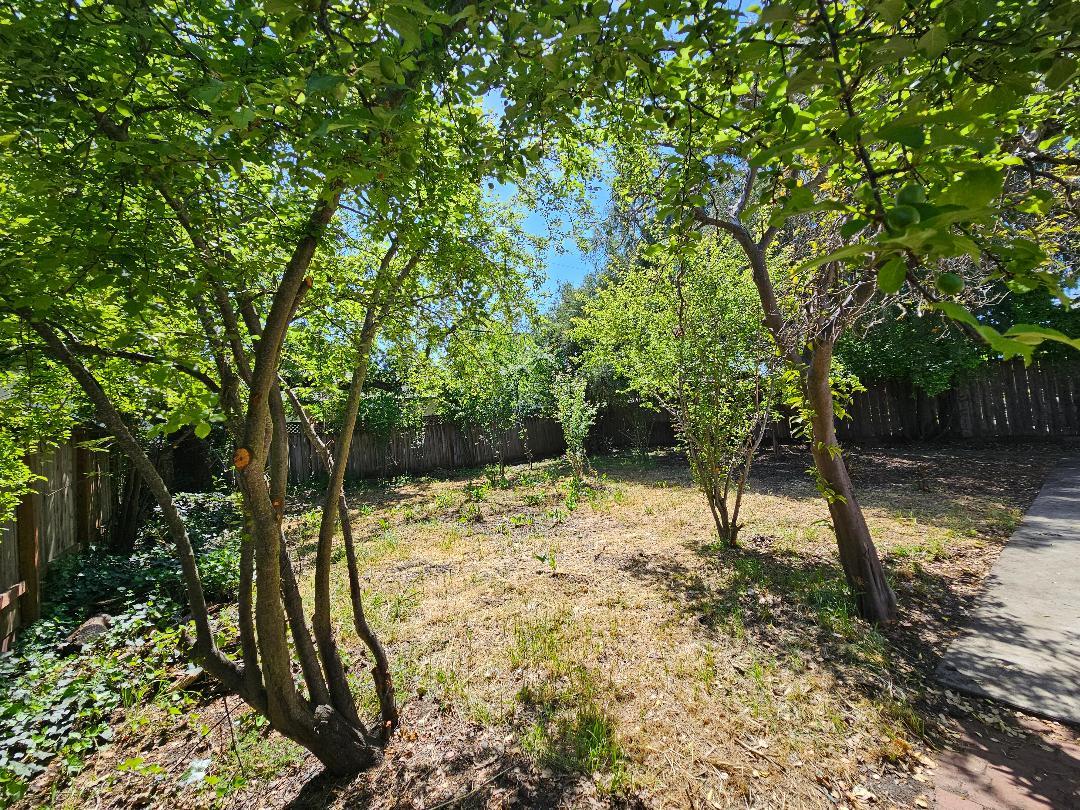 Detail Gallery Image 2 of 17 For 3234 Hoover St, Redwood City,  CA 94063 - 3 Beds | 1 Baths