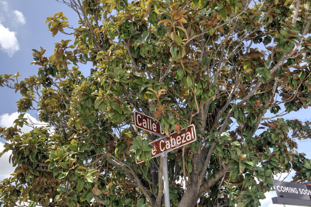 Detail Gallery Image 14 of 32 For 371 Calle Cabezal, Morgan Hill,  CA 95037 - 3 Beds | 2 Baths