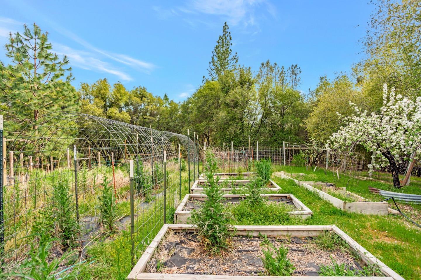 Detail Gallery Image 64 of 76 For 10213 Tyler Foote Rd, Nevada City,  CA 95959 - 3 Beds | 2/1 Baths