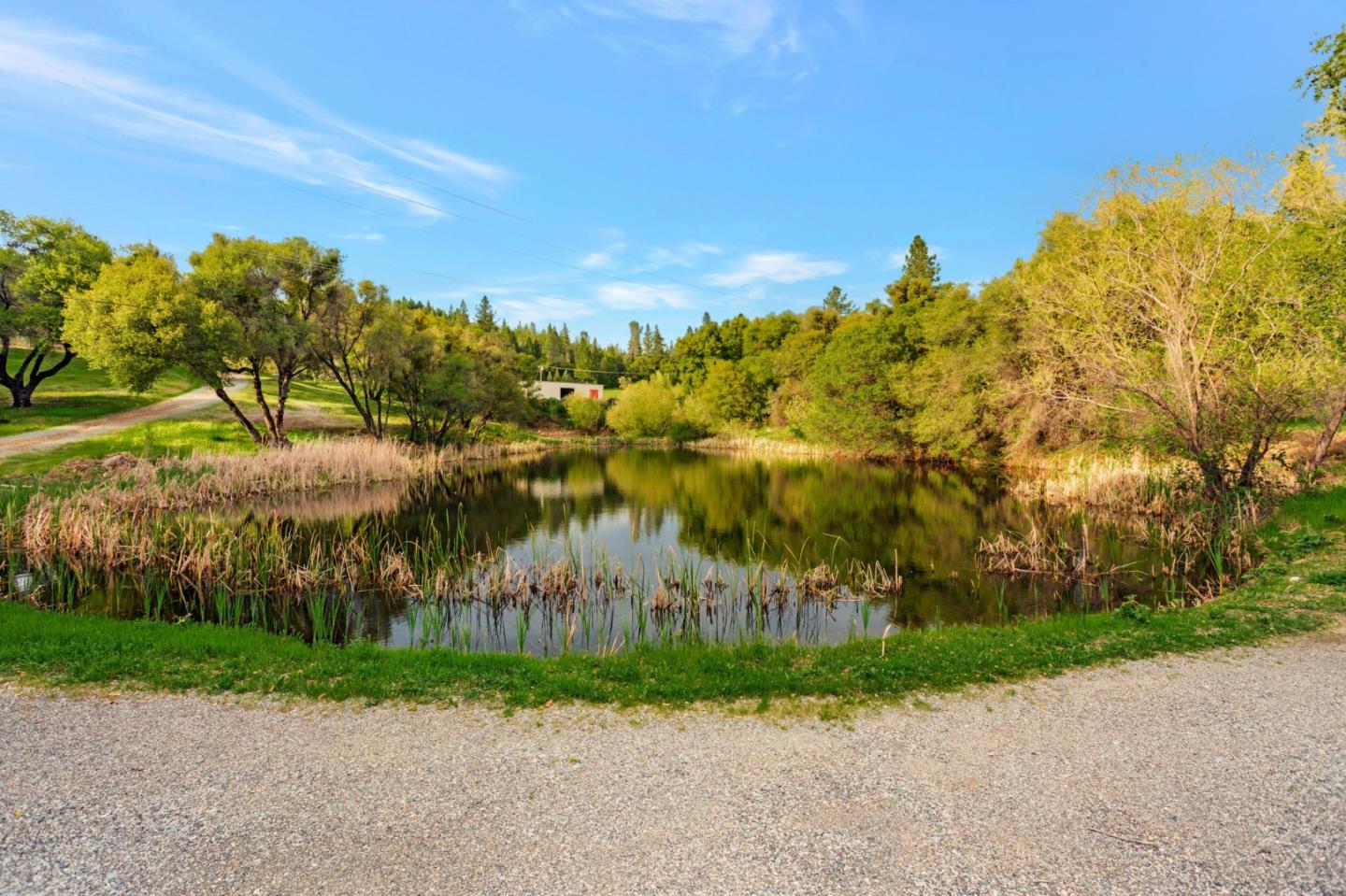 Detail Gallery Image 73 of 76 For 10213 Tyler Foote Rd, Nevada City,  CA 95959 - 3 Beds | 2/1 Baths