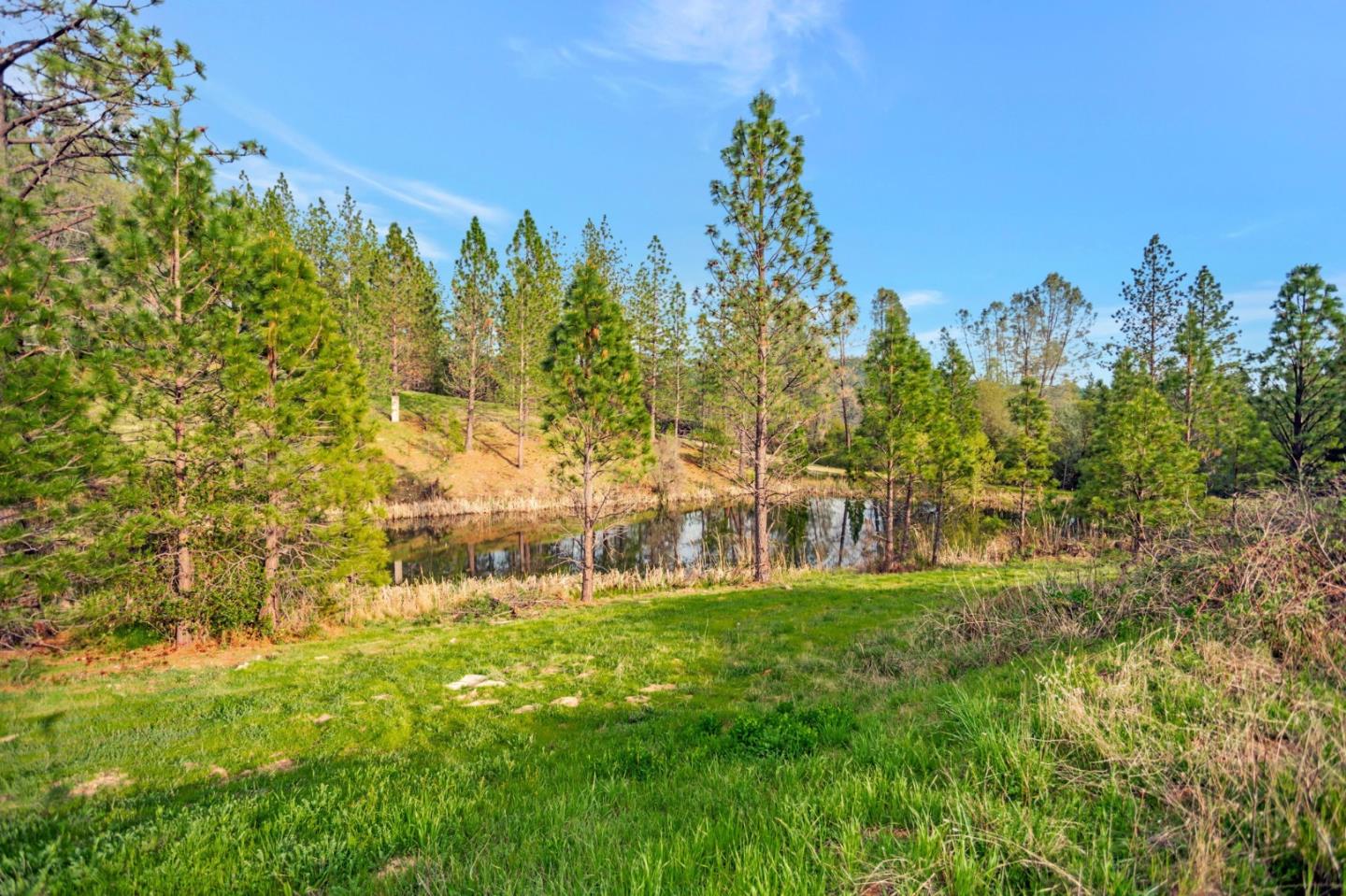 Detail Gallery Image 74 of 76 For 10213 Tyler Foote Rd, Nevada City,  CA 95959 - 3 Beds | 2/1 Baths