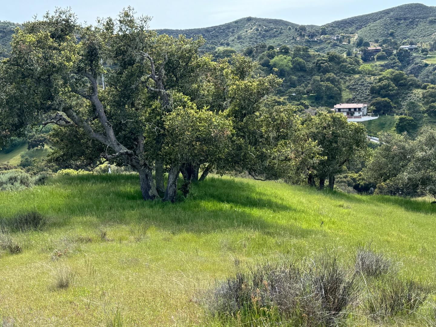 Detail Gallery Image 5 of 12 For 257 San Benancio Road Lot a, Salinas,  CA 93908 - – Beds | – Baths