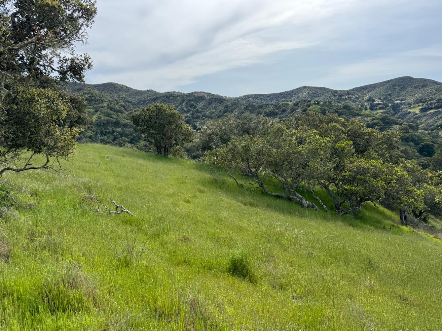 Detail Gallery Image 8 of 12 For 257 San Benancio Road Lot a, Salinas,  CA 93908 - – Beds | – Baths