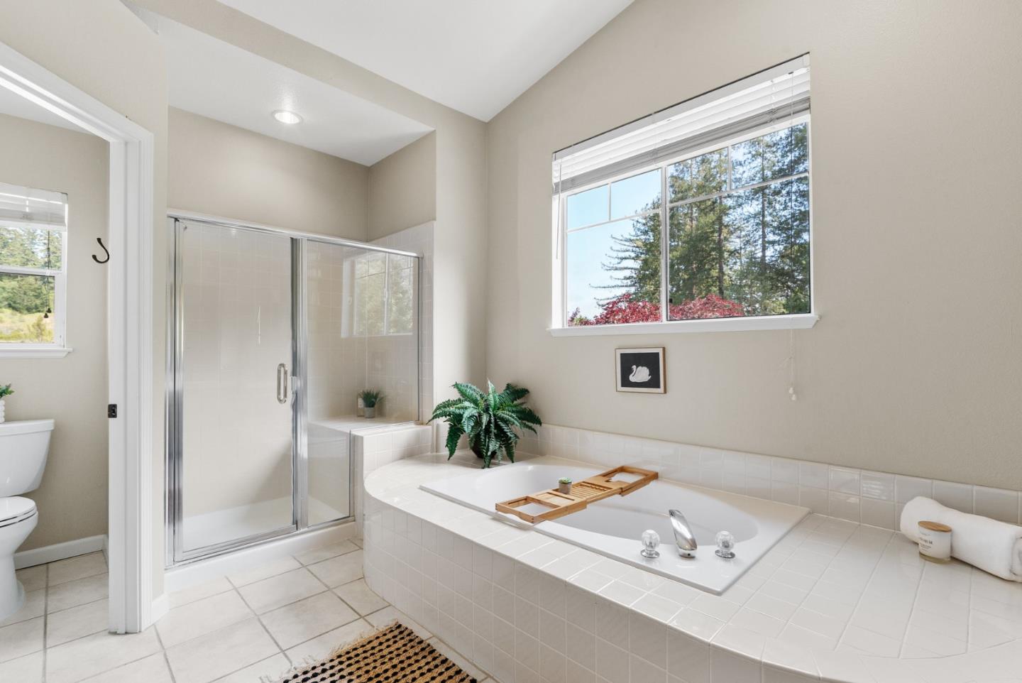 Detail Gallery Image 51 of 73 For 501 Shasta Park Ct, Scotts Valley,  CA 95066 - 4 Beds | 3 Baths