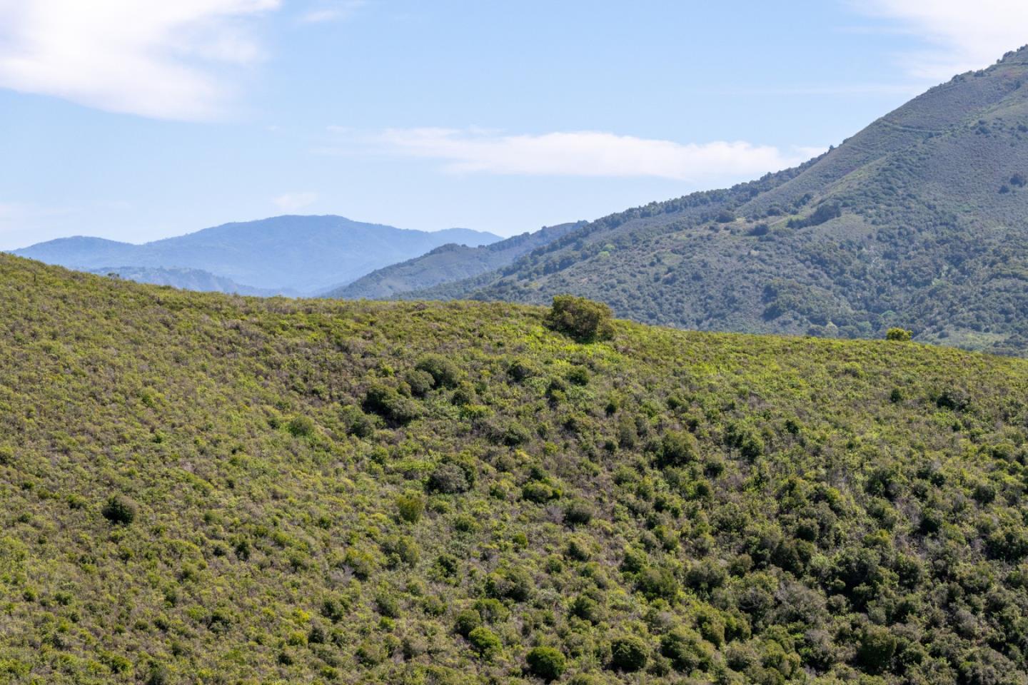 Detail Gallery Image 26 of 31 For 25625 Tierra Grande Dr, Carmel,  CA 93923 - 4 Beds | 4 Baths