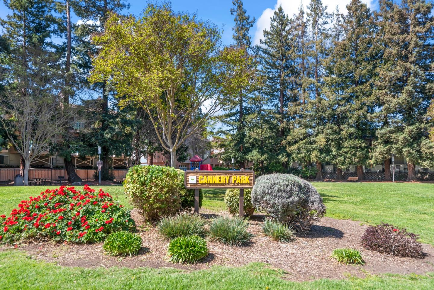 Detail Gallery Image 23 of 24 For 891 W California Ave #Y,  Sunnyvale,  CA 94086 - 2 Beds | 1/1 Baths