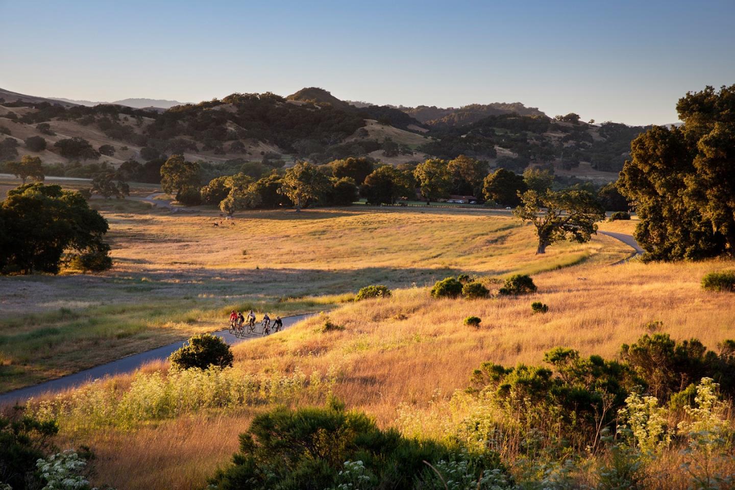 Detail Gallery Image 15 of 25 For 14 Long Ridge (Lot 232) Trl, Carmel,  CA 93923 - – Beds | – Baths