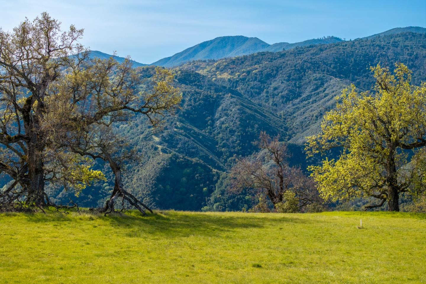 Detail Gallery Image 2 of 25 For 14 Long Ridge (Lot 232) Trl, Carmel,  CA 93923 - – Beds | – Baths