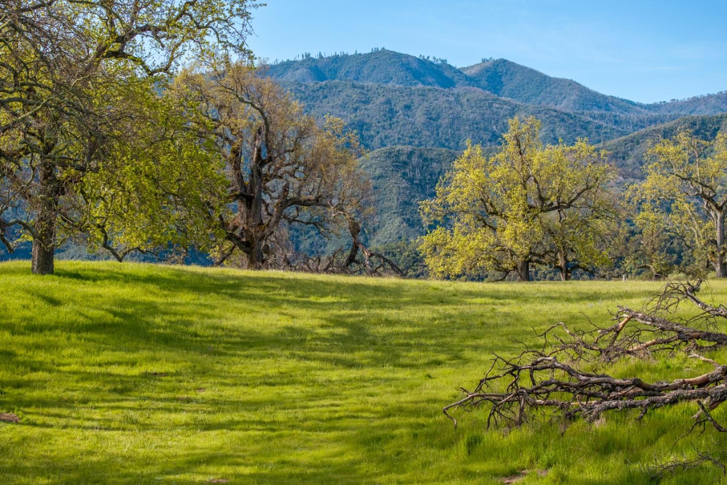 Detail Gallery Image 3 of 25 For 14 Long Ridge (Lot 232) Trl, Carmel,  CA 93923 - – Beds | – Baths