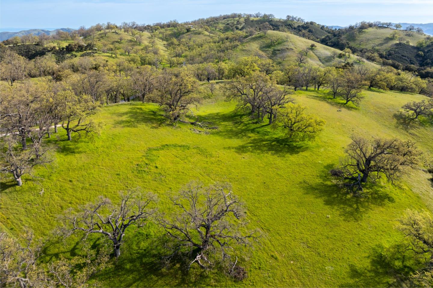 Detail Gallery Image 4 of 25 For 14 Long Ridge (Lot 232) Trl, Carmel,  CA 93923 - – Beds | – Baths