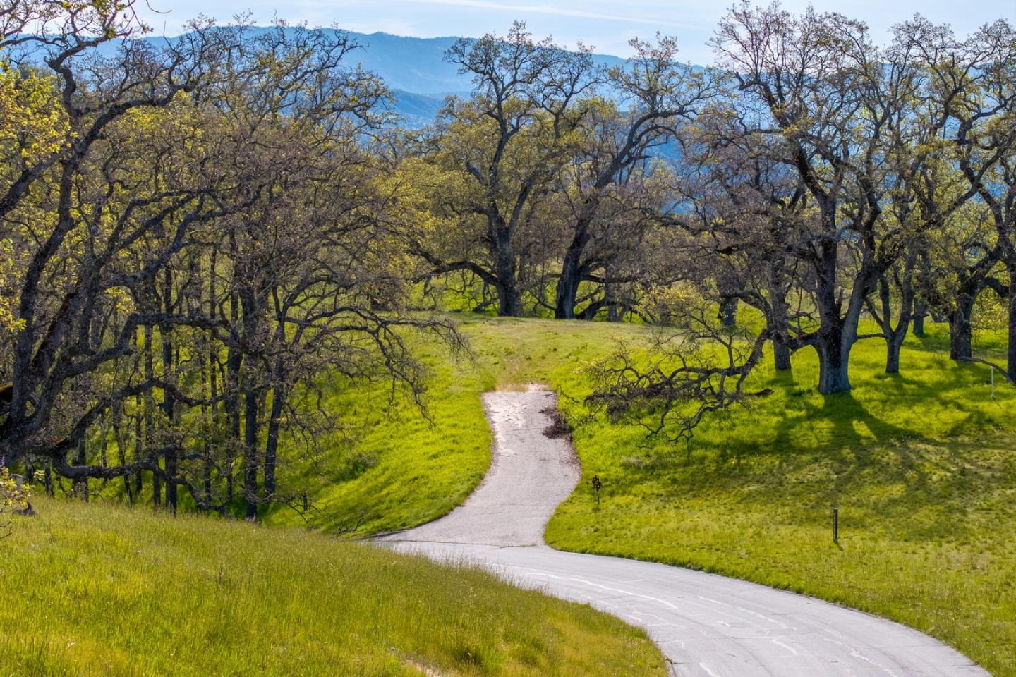 Detail Gallery Image 8 of 25 For 14 Long Ridge (Lot 232) Trl, Carmel,  CA 93923 - – Beds | – Baths