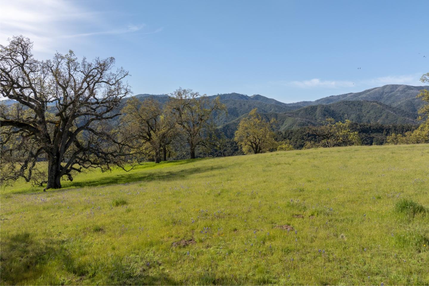 Detail Gallery Image 3 of 25 For 16 Long Ridge (Lot 233) Trl, Carmel,  CA 93923 - – Beds | – Baths