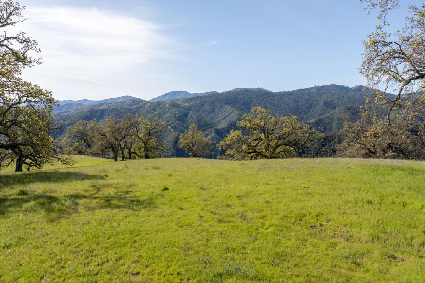 Detail Gallery Image 5 of 25 For 16 Long Ridge (Lot 233) Trl, Carmel,  CA 93923 - – Beds | – Baths