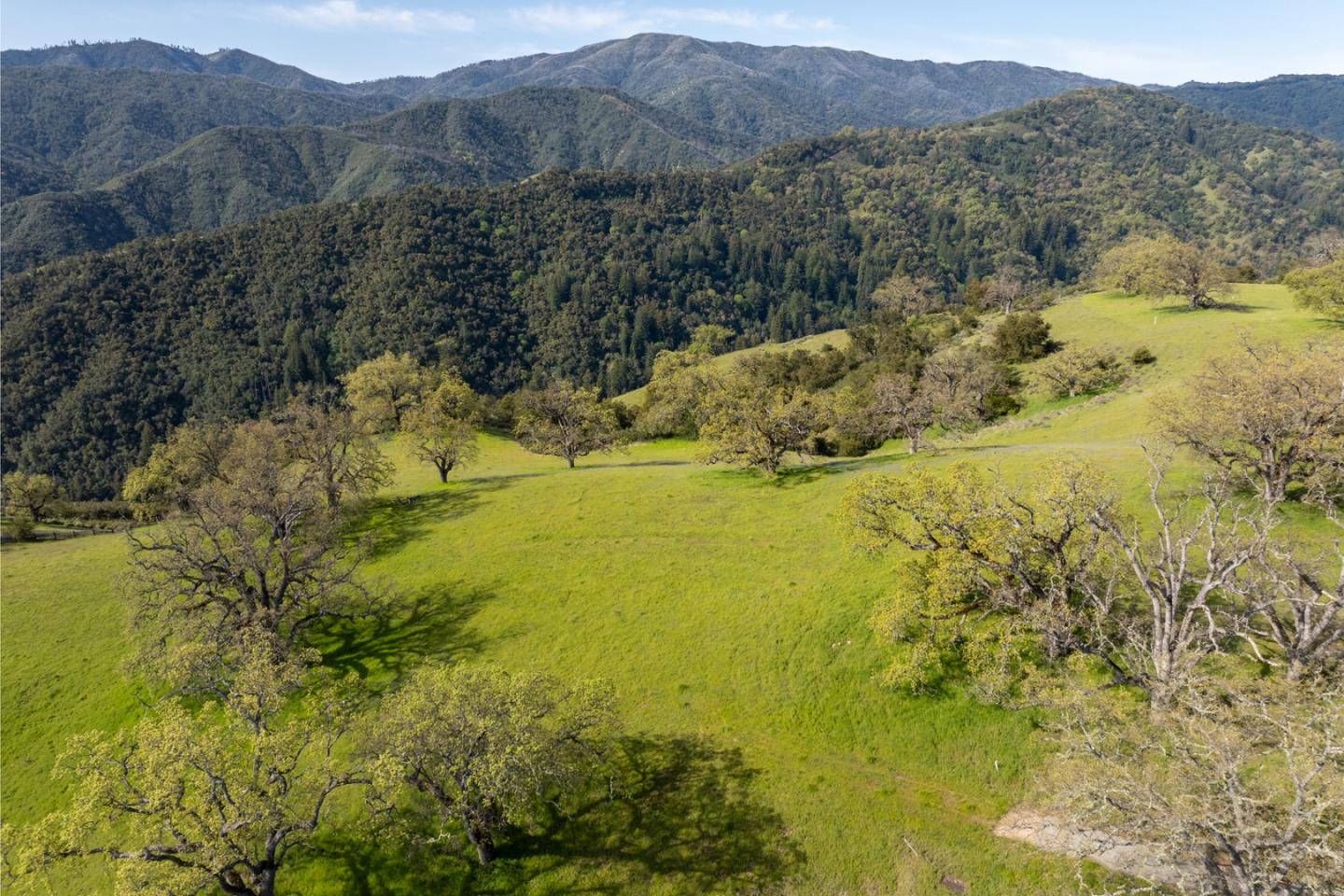 Detail Gallery Image 8 of 25 For 16 Long Ridge (Lot 233) Trl, Carmel,  CA 93923 - – Beds | – Baths