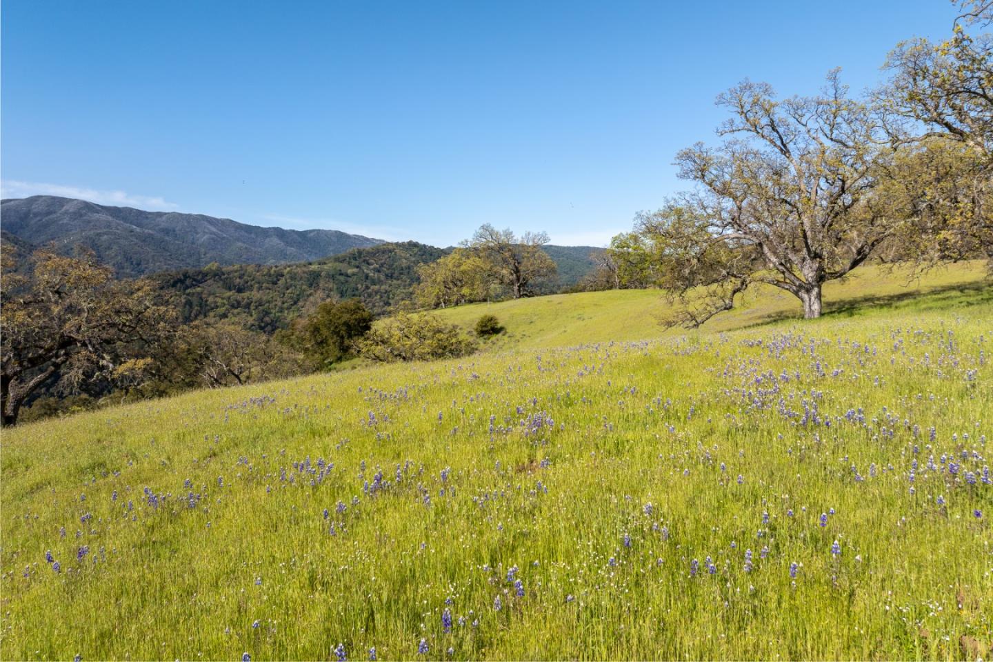 Detail Gallery Image 9 of 25 For 16 Long Ridge (Lot 233) Trl, Carmel,  CA 93923 - – Beds | – Baths