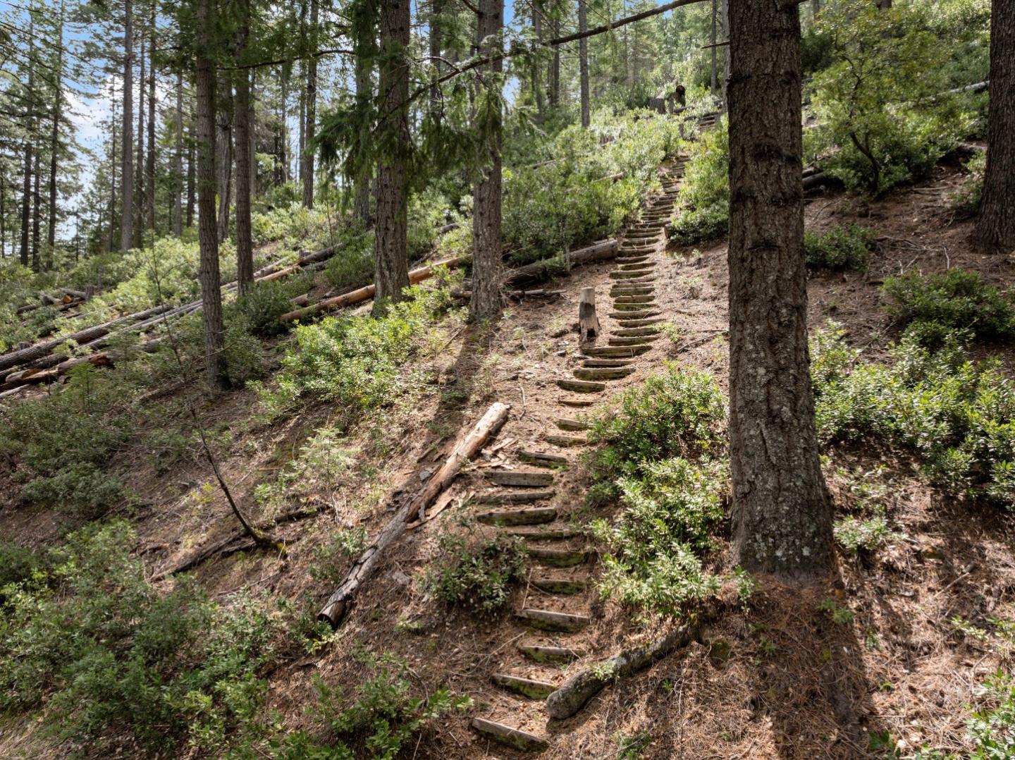 Detail Gallery Image 60 of 95 For 2120 Pack Trl, Mount Shasta,  CA 96067 - 2 Beds | 2 Baths