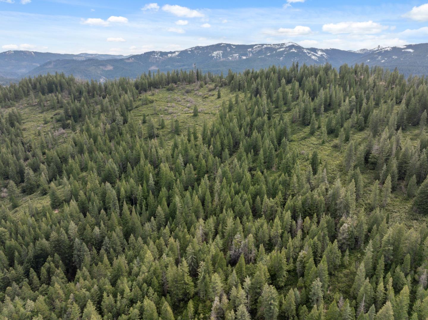 Detail Gallery Image 66 of 95 For 2120 Pack Trl, Mount Shasta,  CA 96067 - 2 Beds | 2 Baths