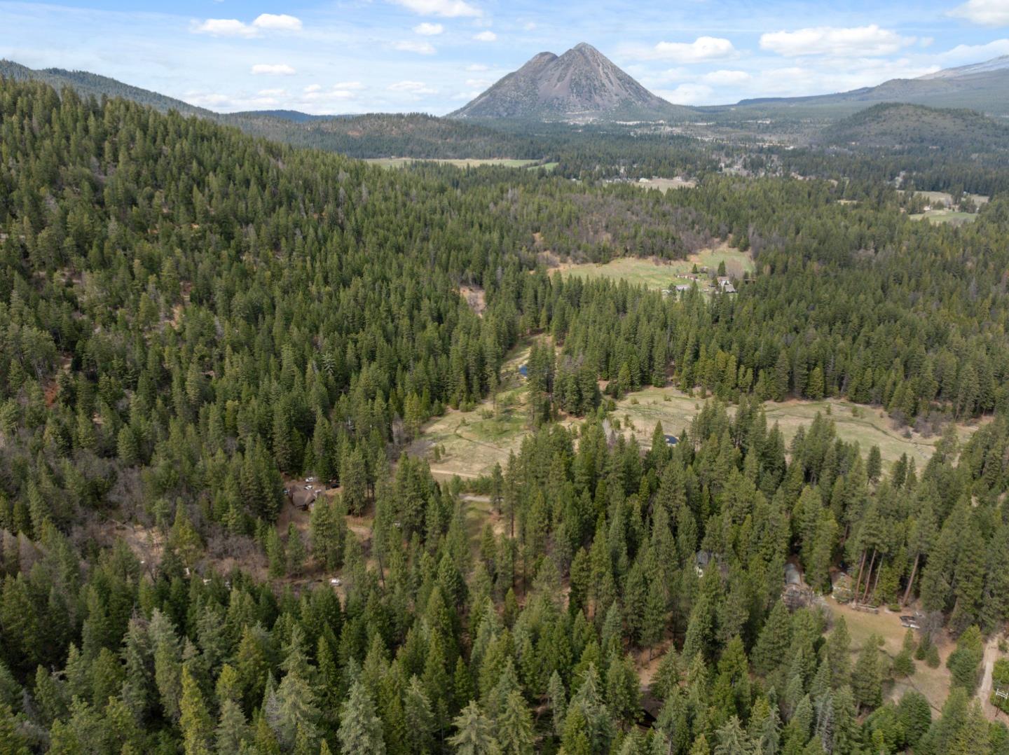 Detail Gallery Image 68 of 95 For 2120 Pack Trl, Mount Shasta,  CA 96067 - 2 Beds | 2 Baths