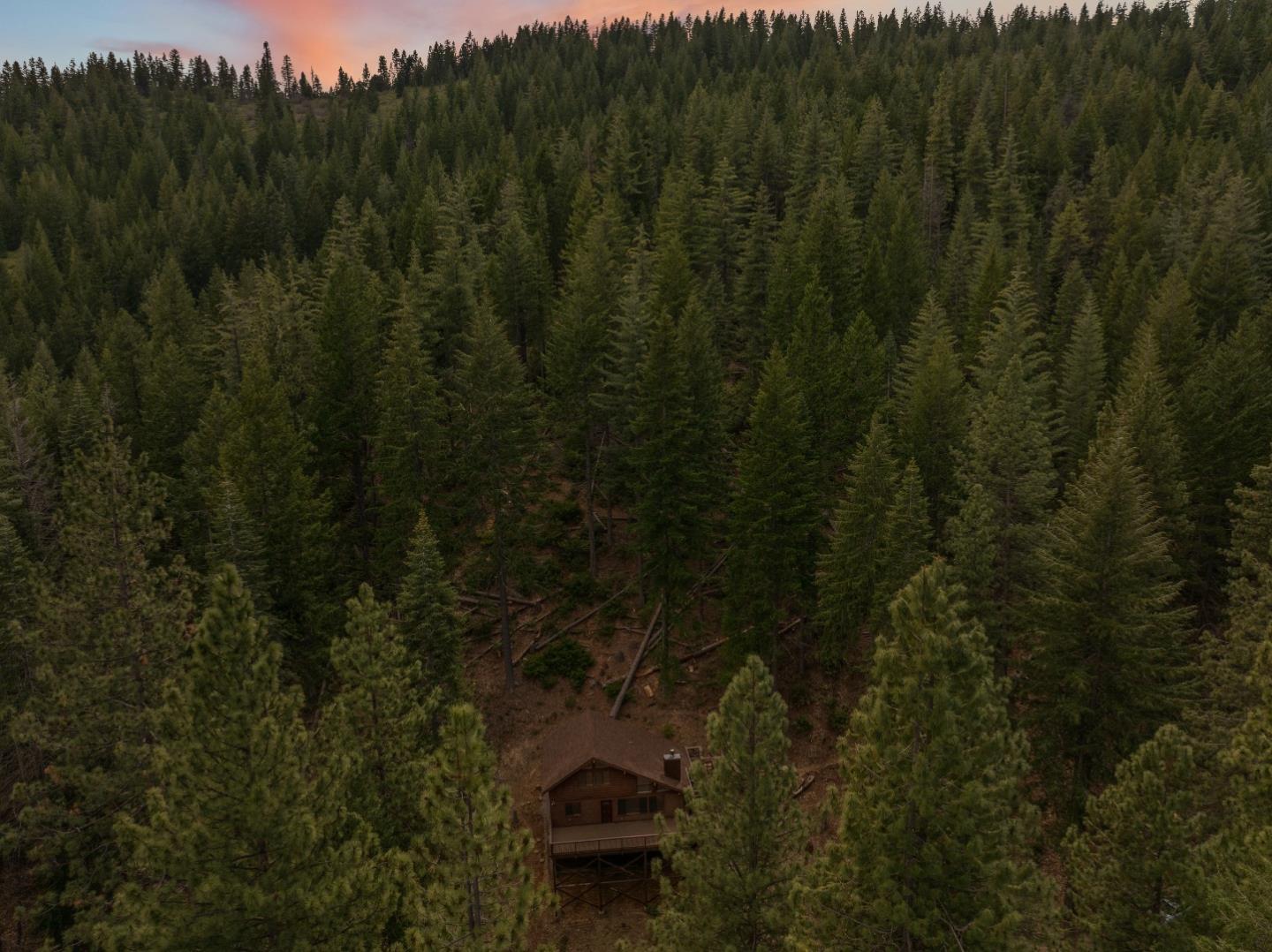 Detail Gallery Image 87 of 95 For 2120 Pack Trl, Mount Shasta,  CA 96067 - 2 Beds | 2 Baths
