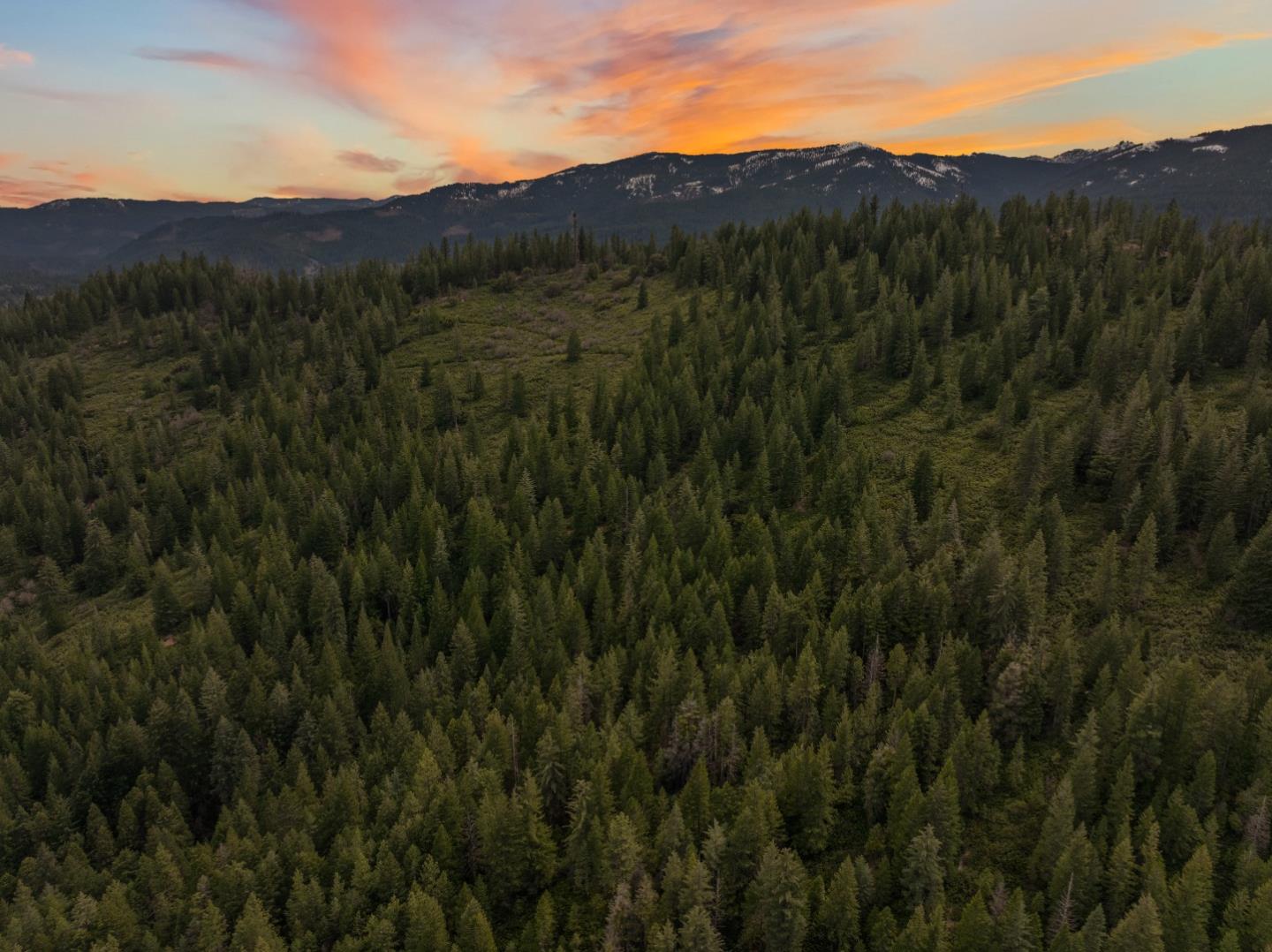 Detail Gallery Image 89 of 95 For 2120 Pack Trl, Mount Shasta,  CA 96067 - 2 Beds | 2 Baths