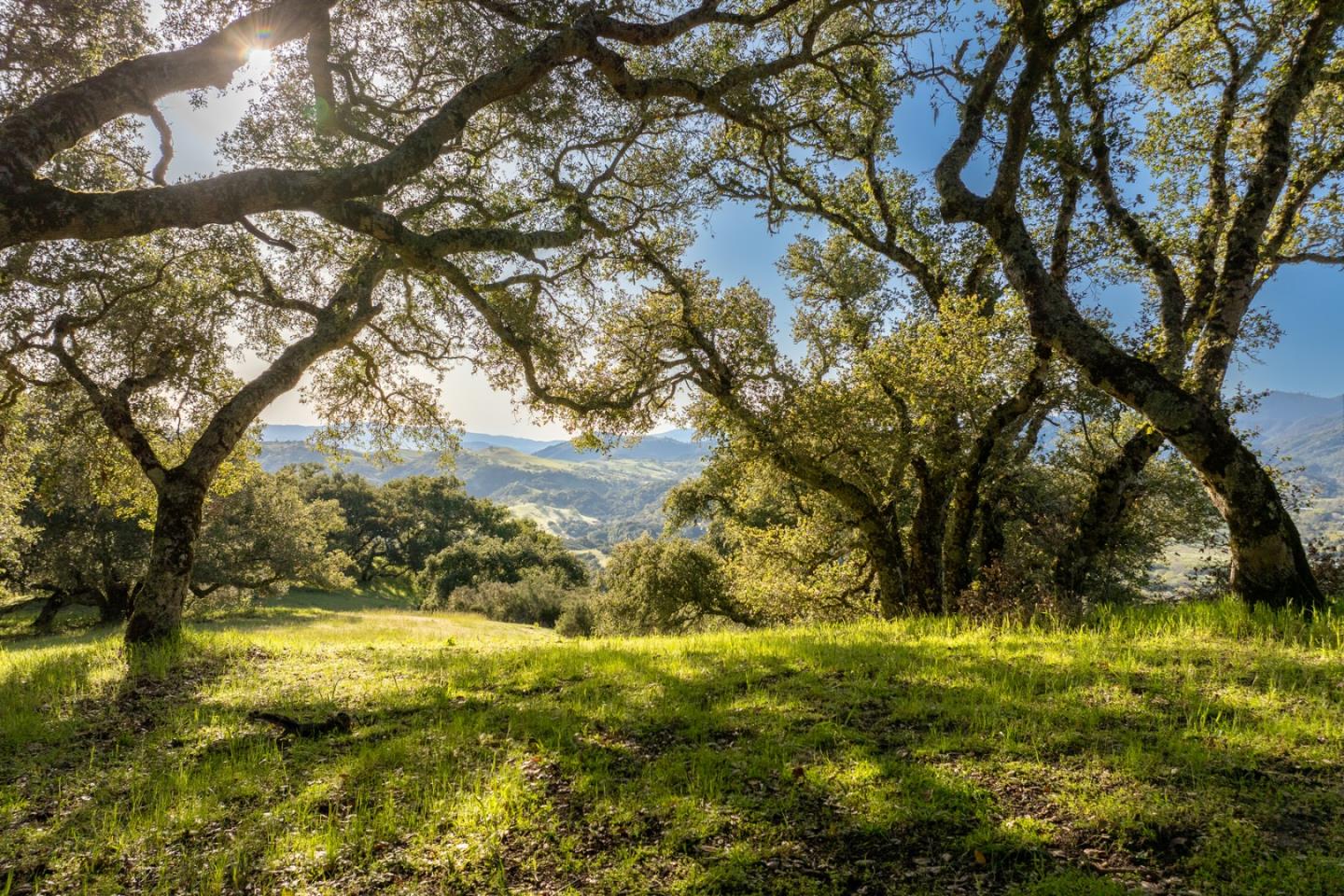 Detail Gallery Image 2 of 25 For 52 Chamisal (Lot 136) Pass, Carmel,  CA 93923 - – Beds | – Baths