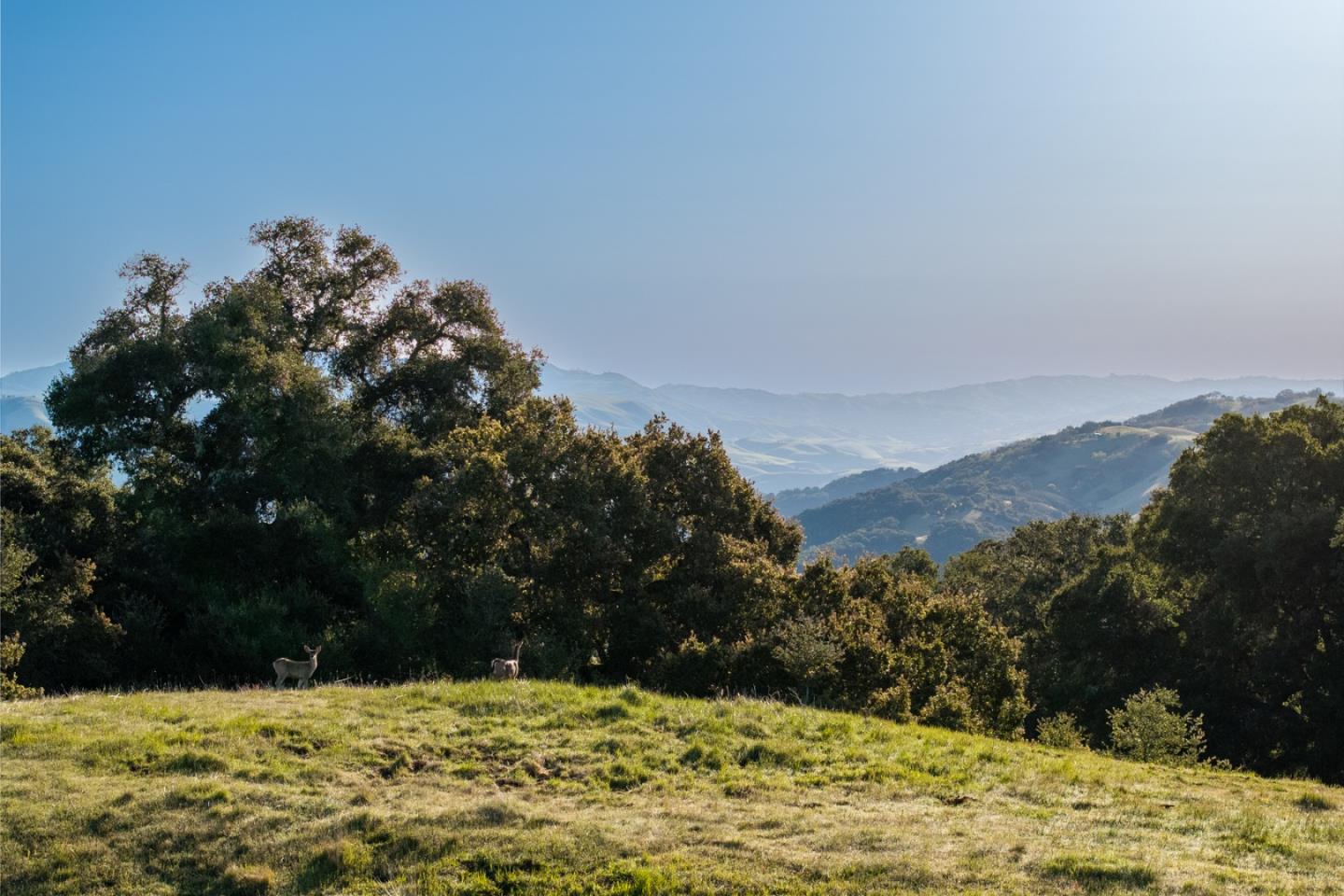 Detail Gallery Image 3 of 25 For 52 Chamisal (Lot 136) Pass, Carmel,  CA 93923 - – Beds | – Baths