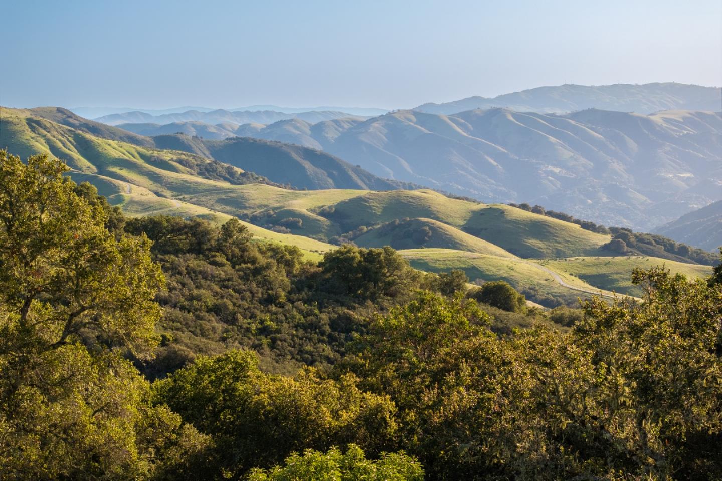 Detail Gallery Image 4 of 25 For 52 Chamisal (Lot 136) Pass, Carmel,  CA 93923 - – Beds | – Baths