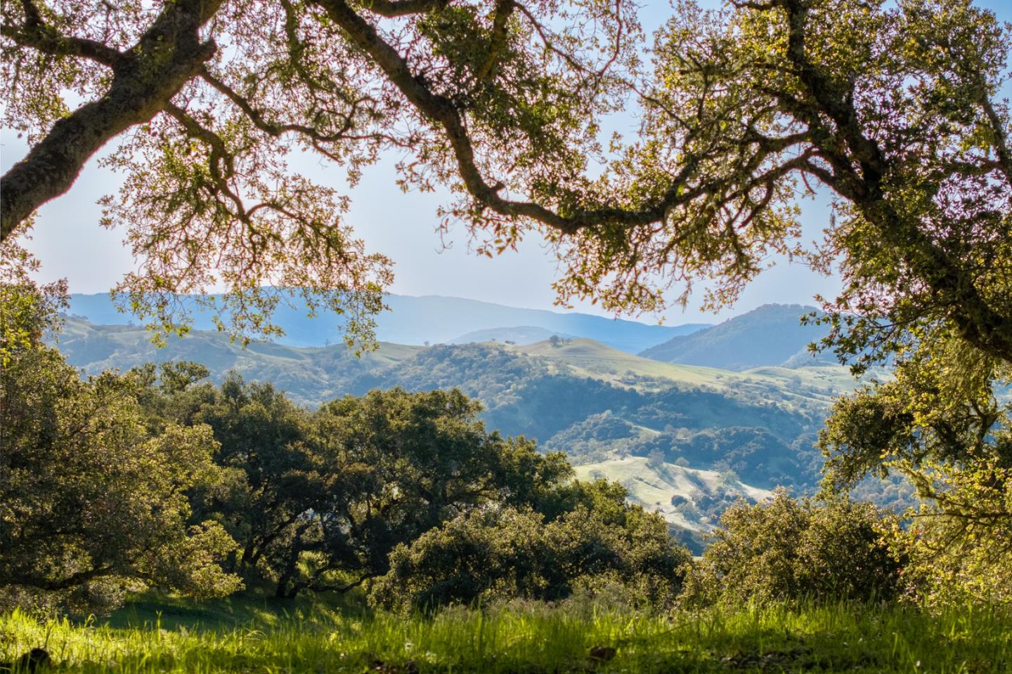 Detail Gallery Image 5 of 25 For 52 Chamisal (Lot 136) Pass, Carmel,  CA 93923 - – Beds | – Baths