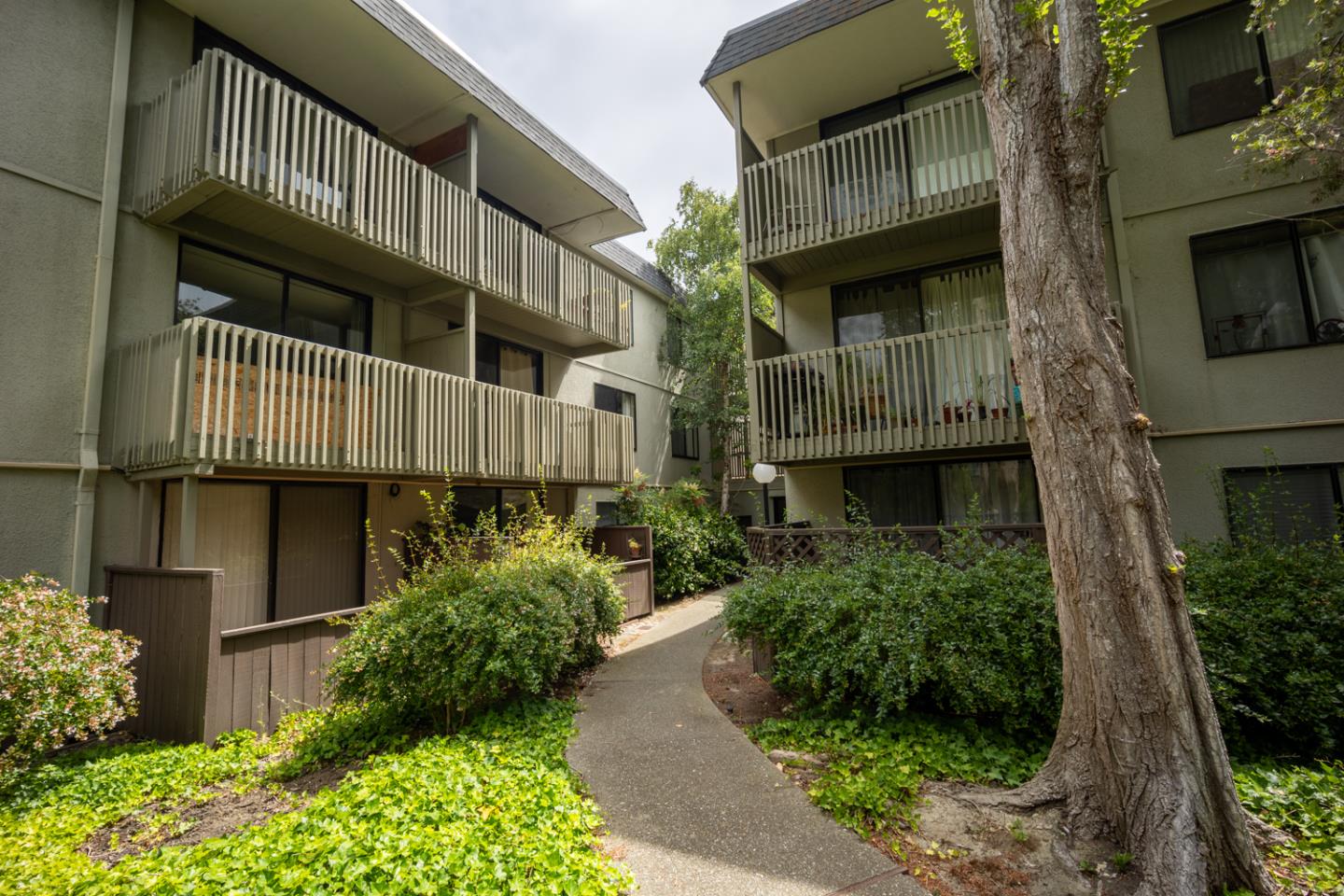 Detail Gallery Image 32 of 53 For 5341 Shelter Creek Ln, San Bruno,  CA 94066 - 2 Beds | 2 Baths