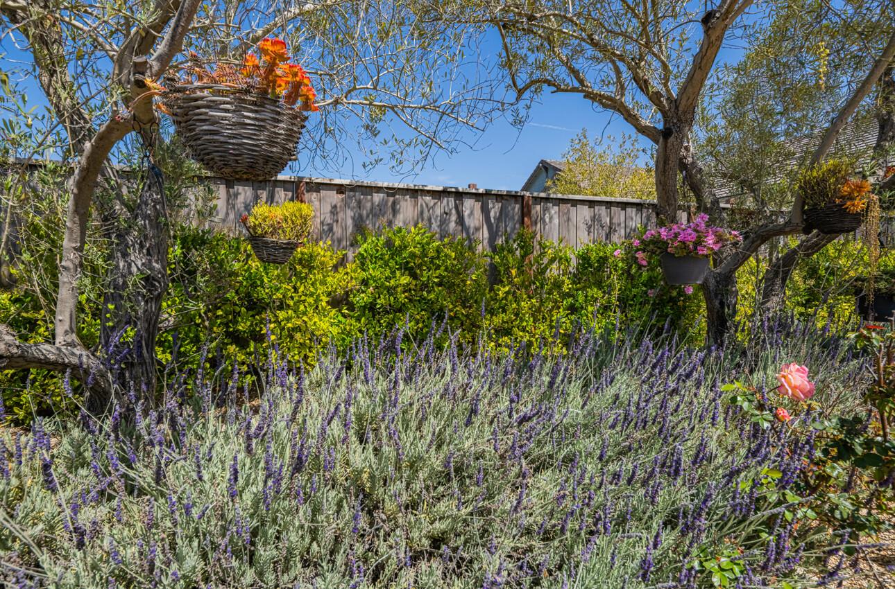 Detail Gallery Image 70 of 76 For 2967 Garnet Way, Marina,  CA 93933 - 5 Beds | 4/1 Baths