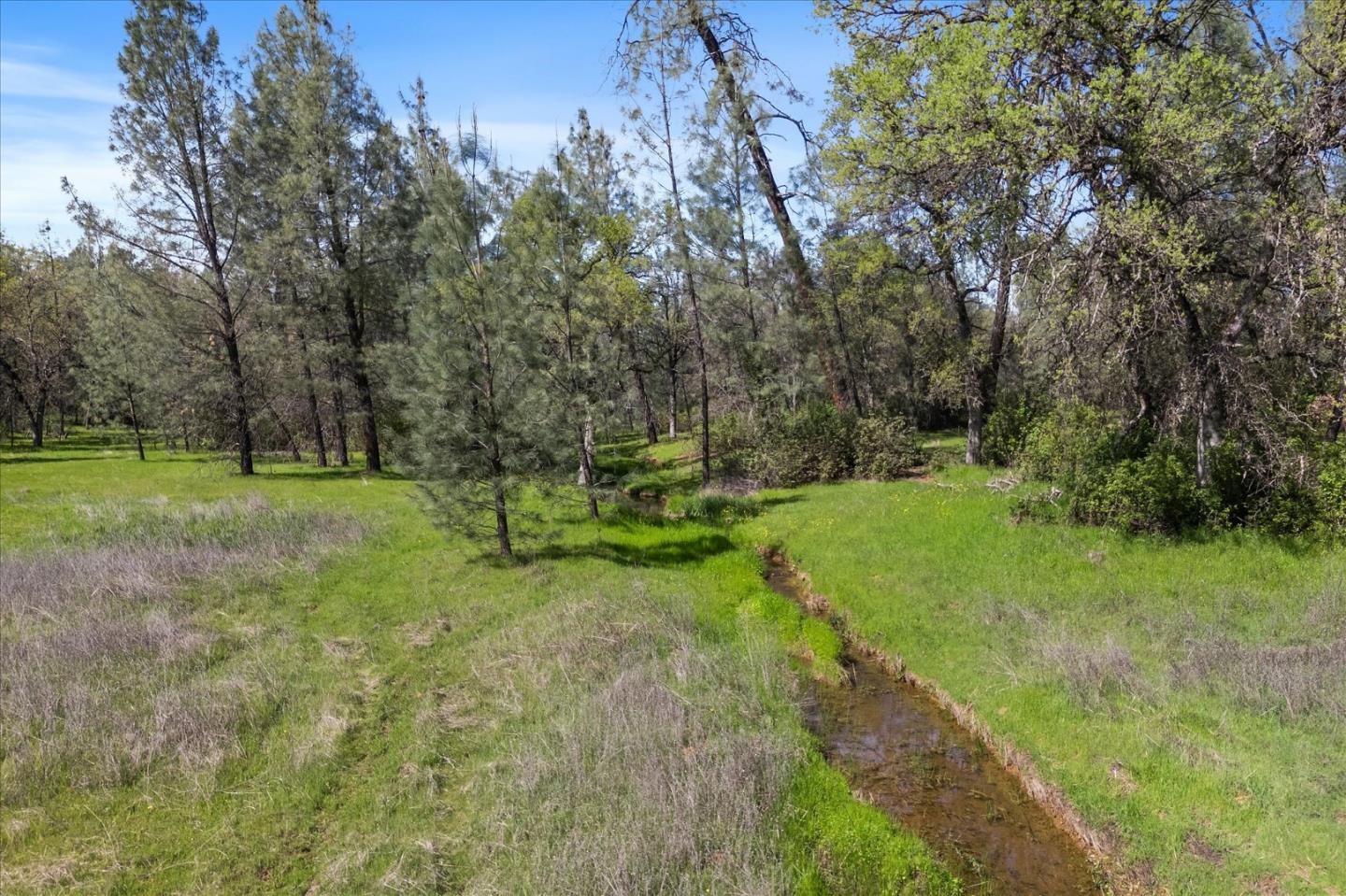 Detail Gallery Image 49 of 57 For 19862 Paso Robles Ave, Redding,  CA 96003 - 3 Beds | 2 Baths