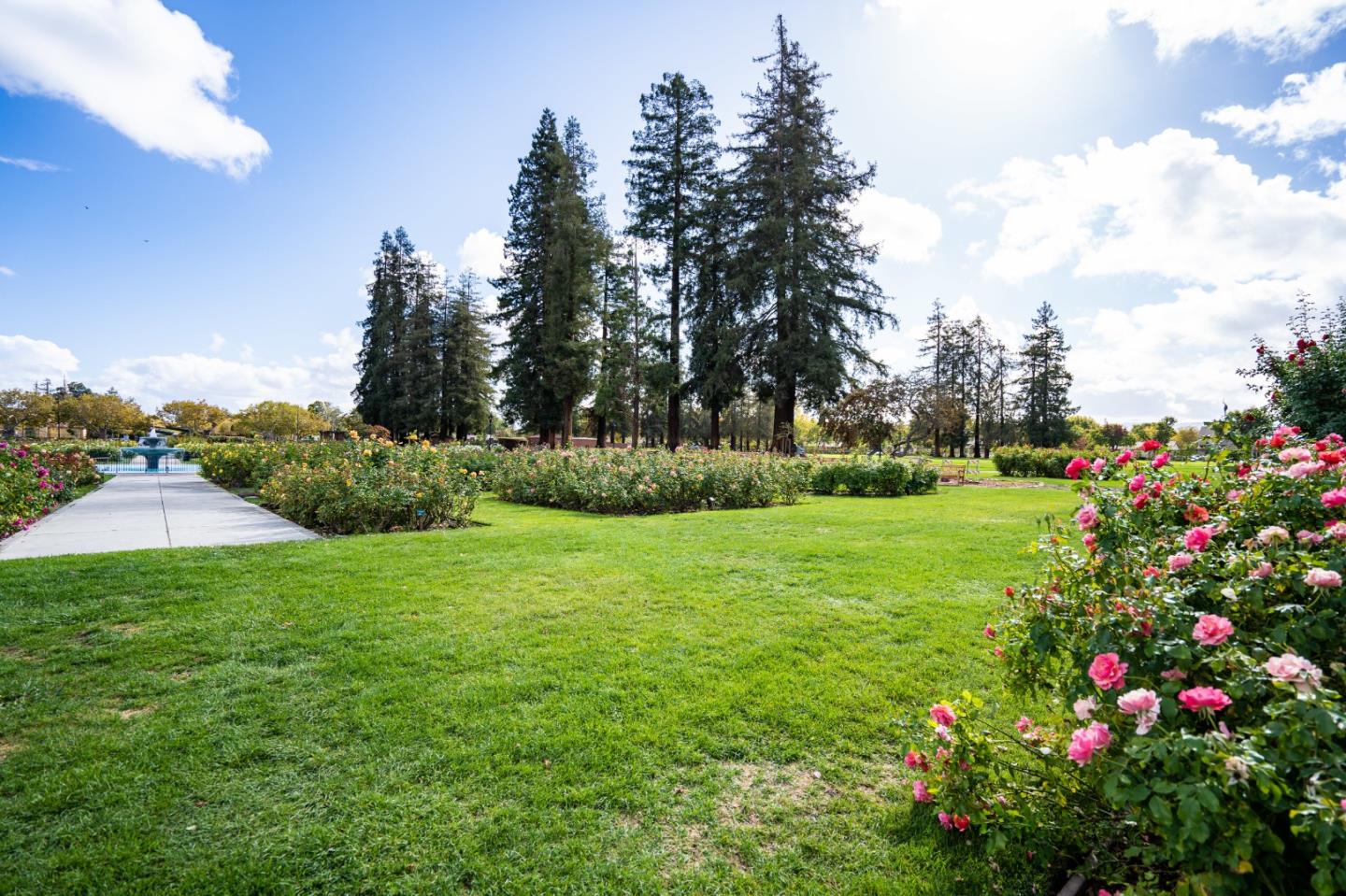 Detail Gallery Image 91 of 108 For 633 Morse St, San Jose,  CA 95126 - 4 Beds | 4 Baths