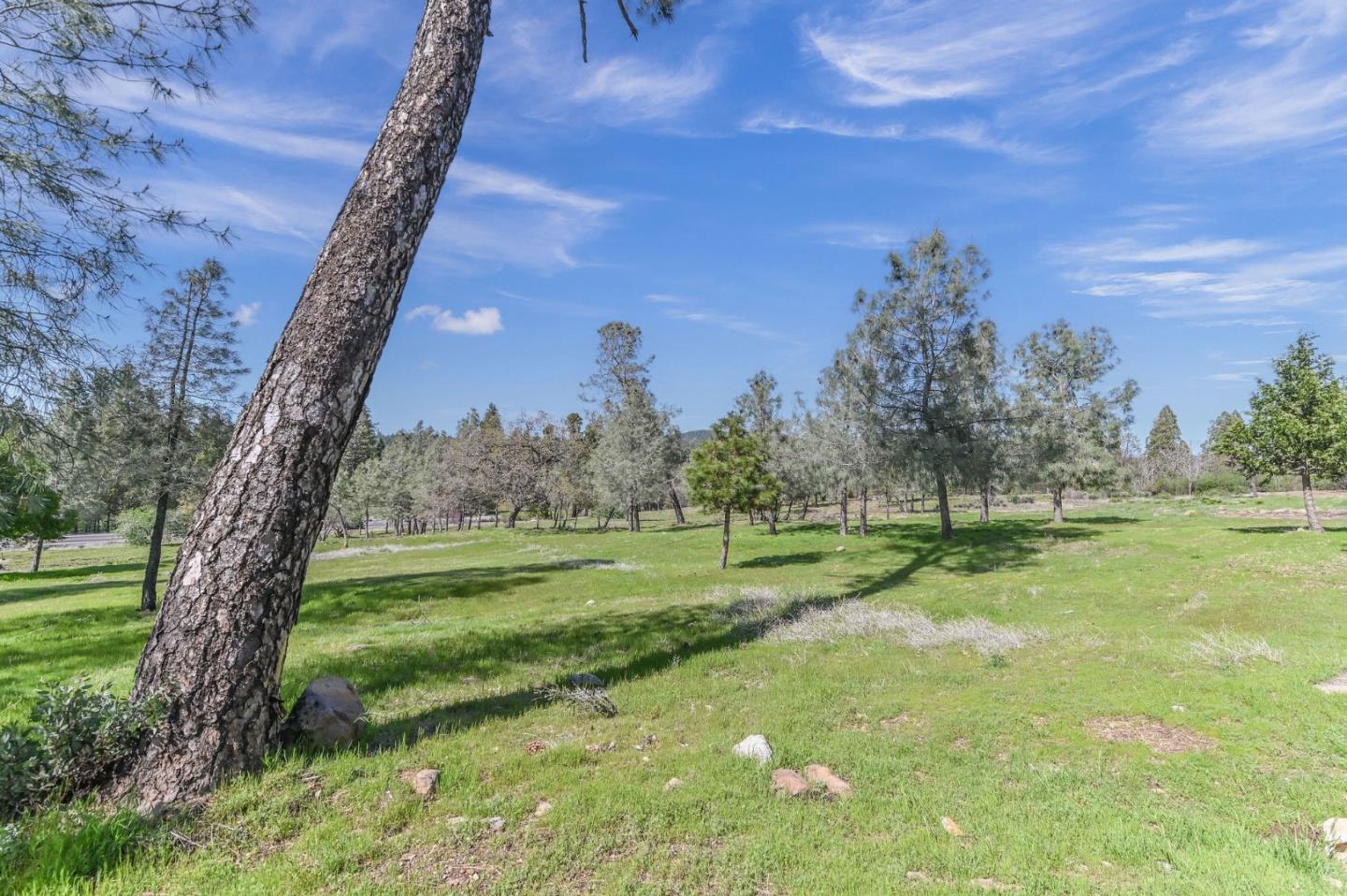 Detail Gallery Image 58 of 61 For 169 Snowberry Ct, Murphys,  CA 95247 - – Beds | – Baths