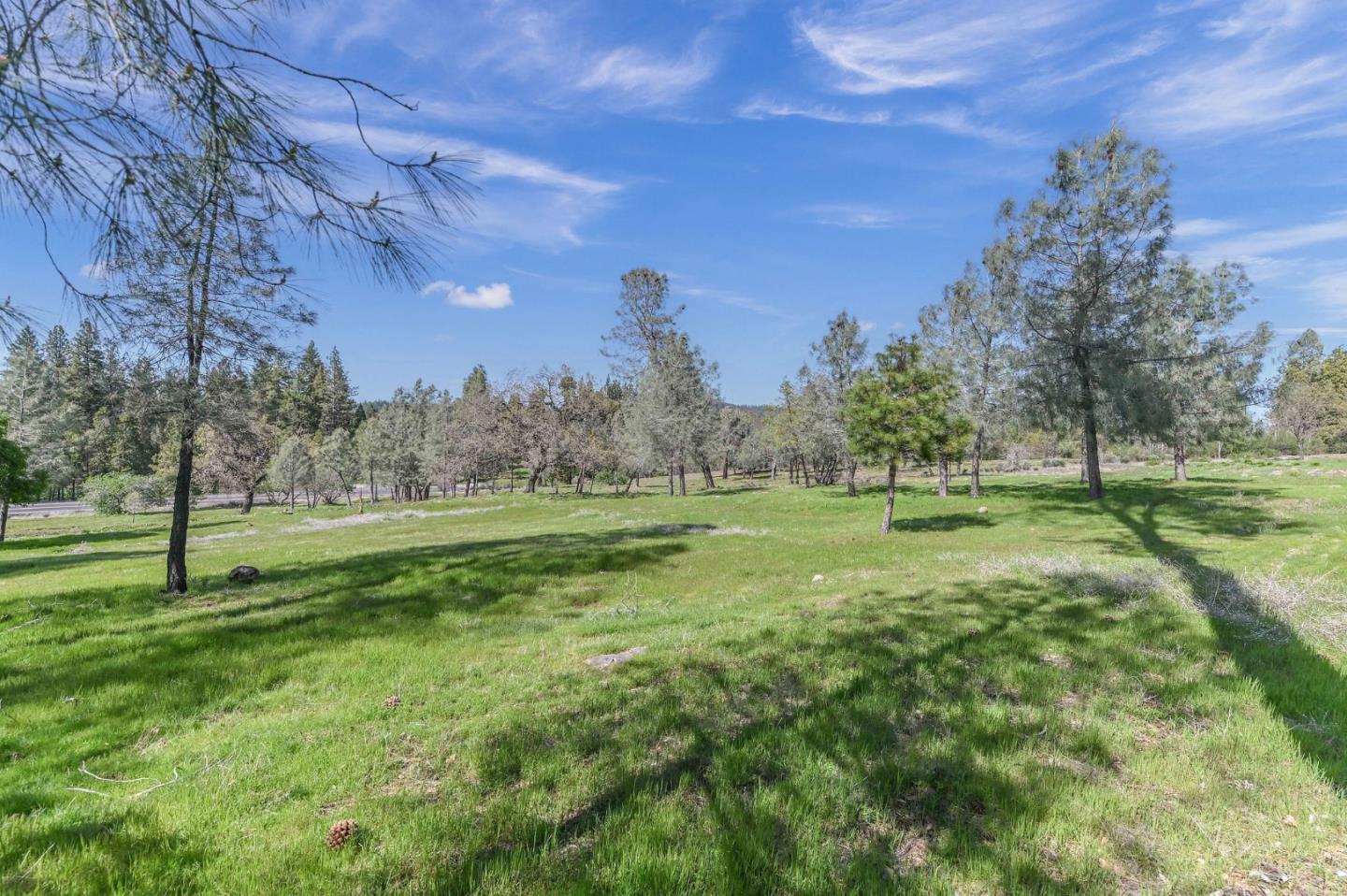 Detail Gallery Image 59 of 61 For 169 Snowberry Ct, Murphys,  CA 95247 - – Beds | – Baths