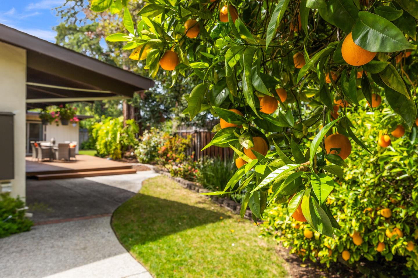 Detail Gallery Image 41 of 41 For 3868 Corina Way, Palo Alto,  CA 94303 - 3 Beds | 2 Baths