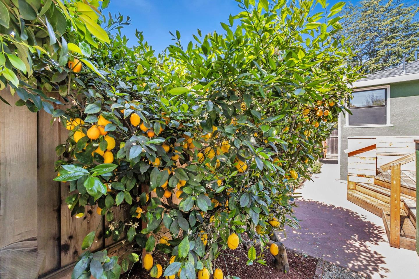 Detail Gallery Image 59 of 59 For 928 Peggy Ln, Menlo Park,  CA 94025 - 4 Beds | 2 Baths