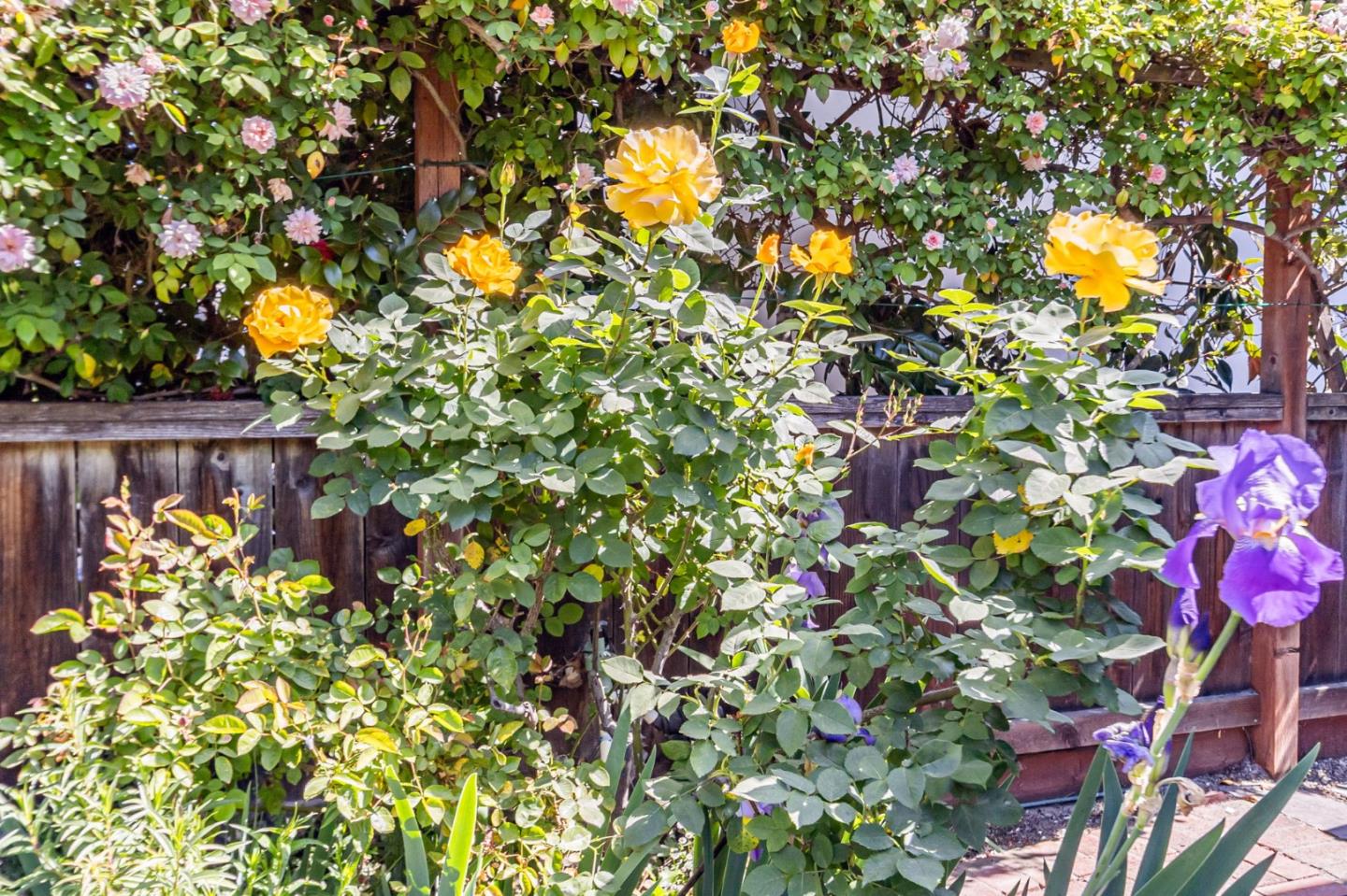 Detail Gallery Image 6 of 59 For 928 Peggy Ln, Menlo Park,  CA 94025 - 4 Beds | 2 Baths